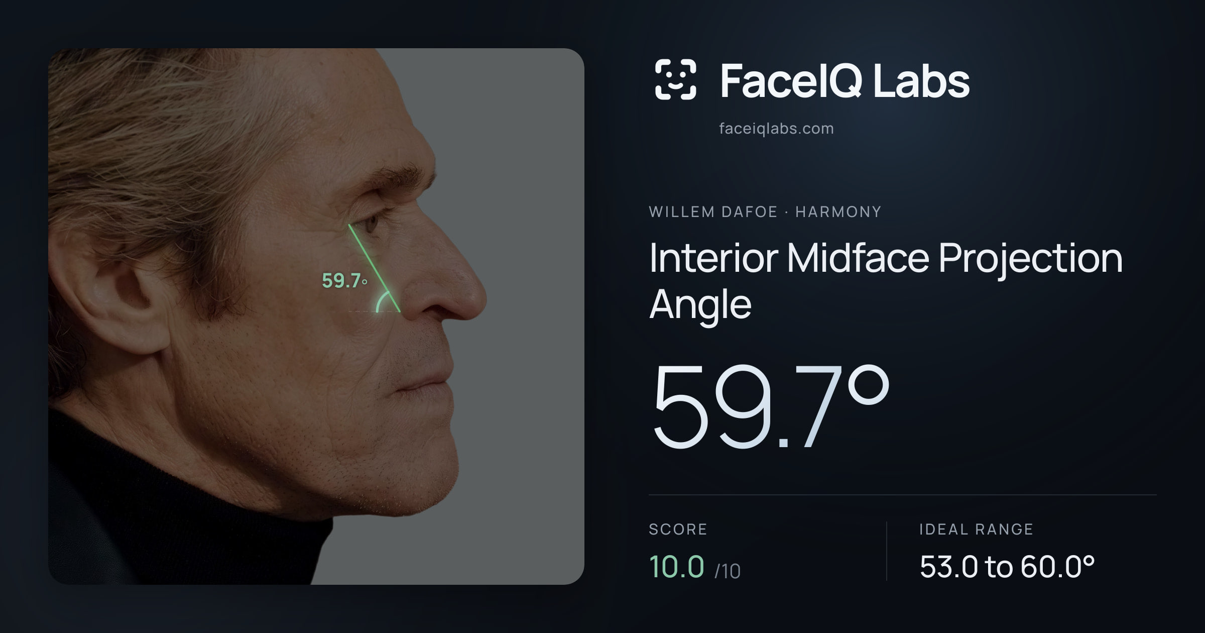 Willem Dafoe Interior Midface Projection Angle: 59.7°, drawn on the photo