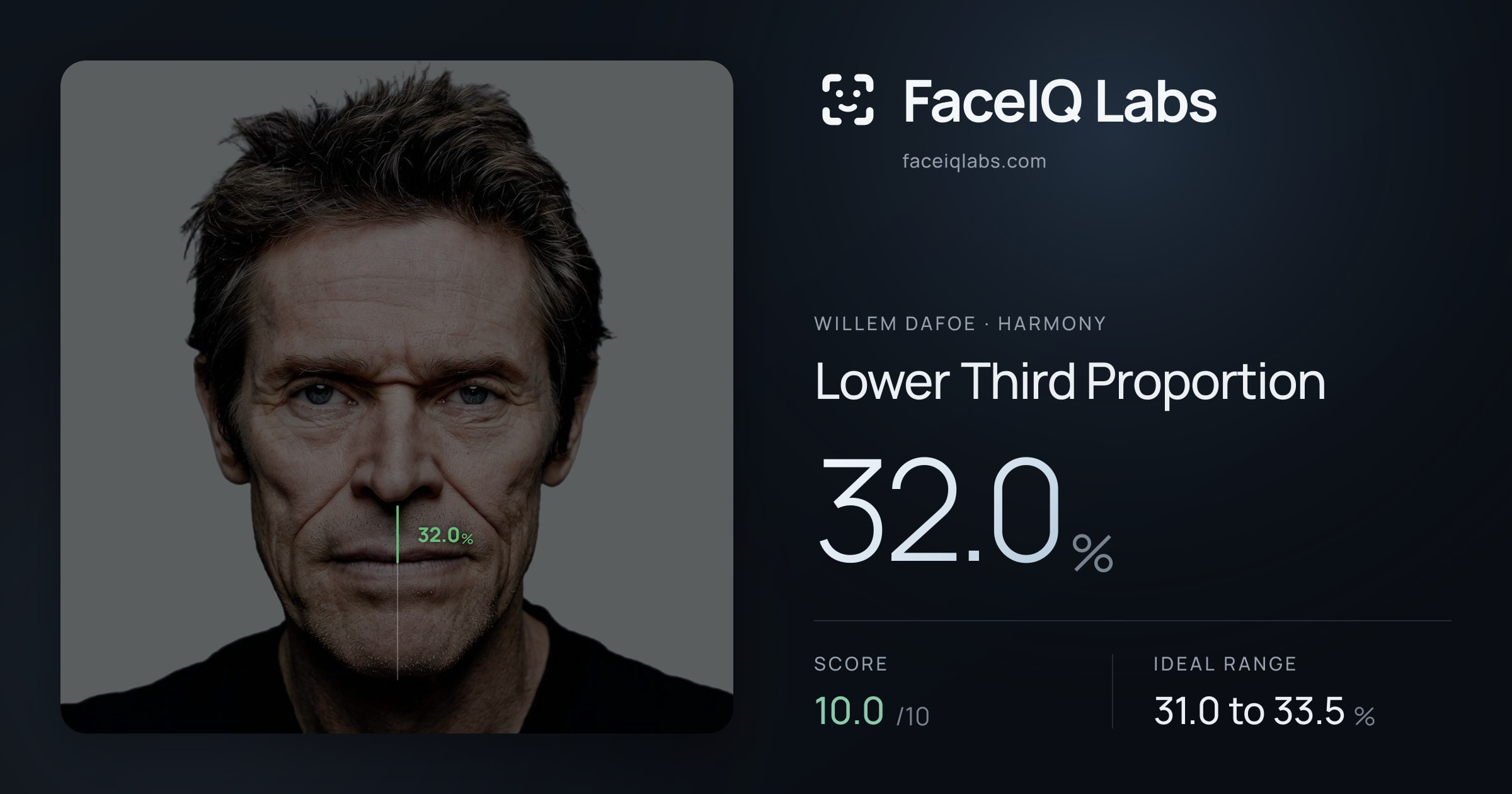 Willem Dafoe Lower Third Proportion: 32.0%, drawn on the photo