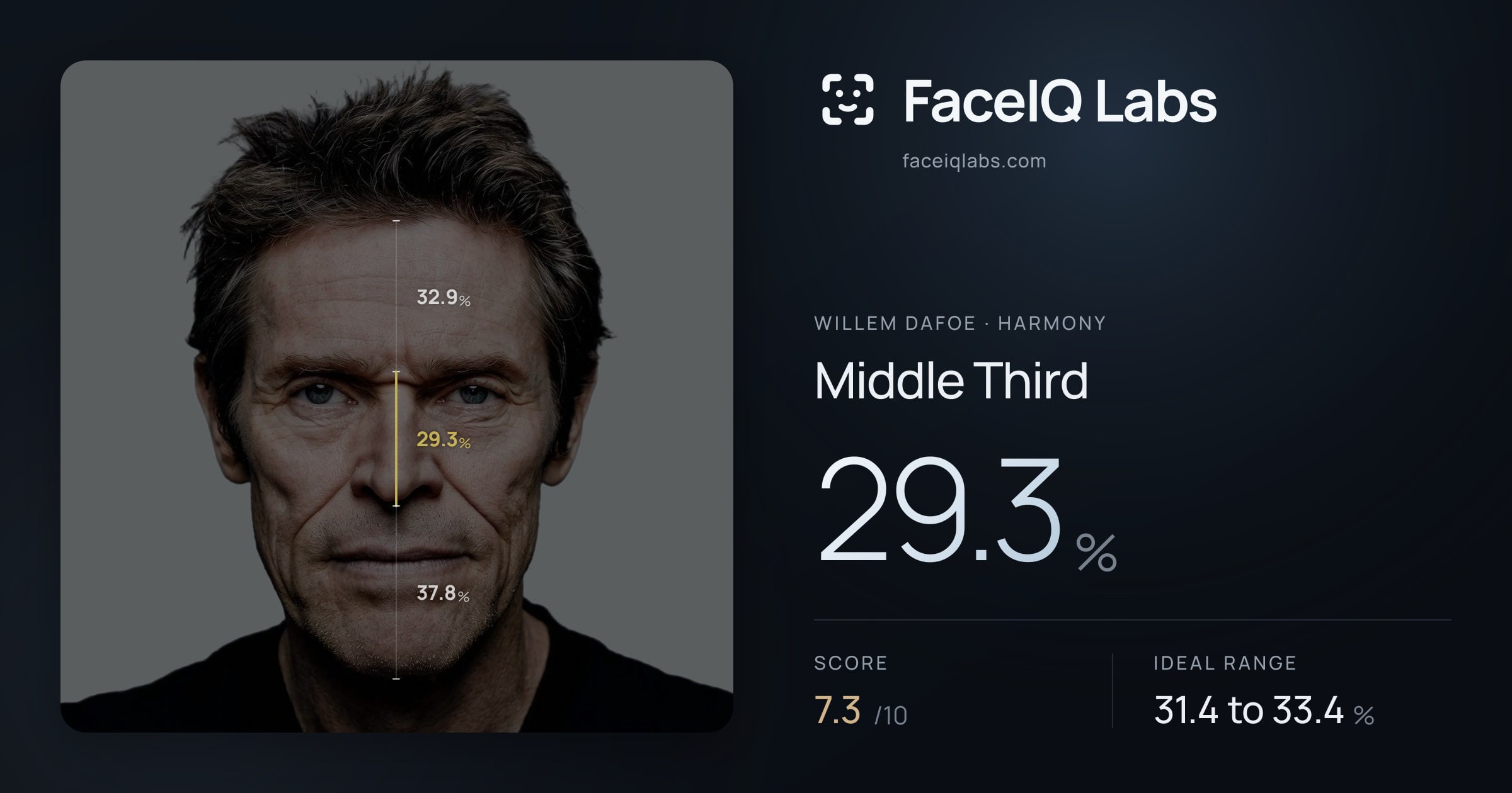 Willem Dafoe Middle Third: 29.3%, drawn on the photo