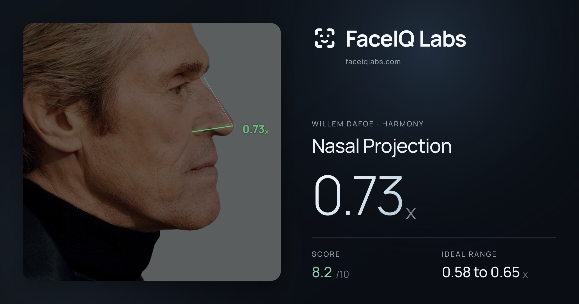 Willem Dafoe Nasal Projection: 0.73x, drawn on the photo
