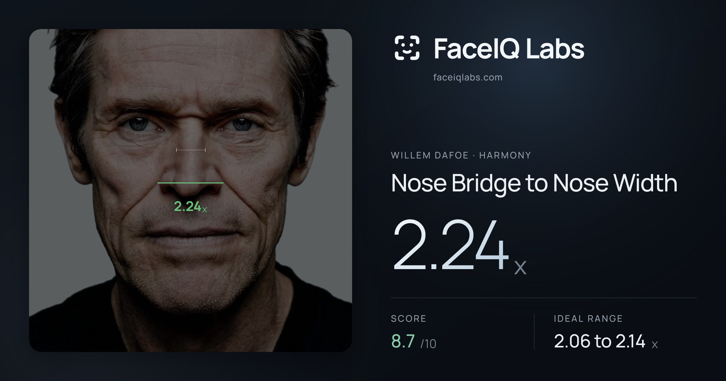 Willem Dafoe Nose Bridge to Nose Width: 2.24x, drawn on the photo