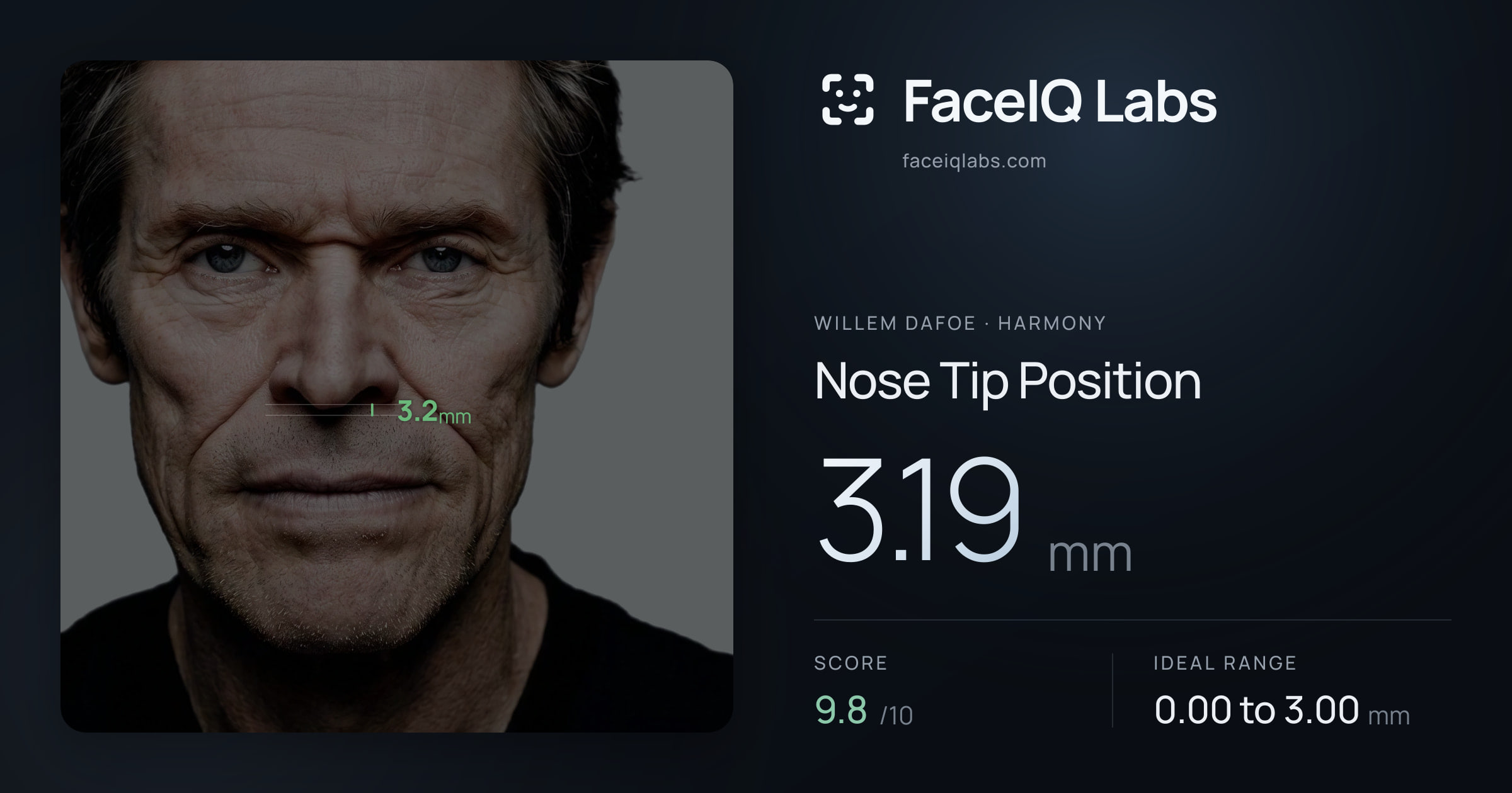 Willem Dafoe Nose Tip Position: 3.19mm, drawn on the photo