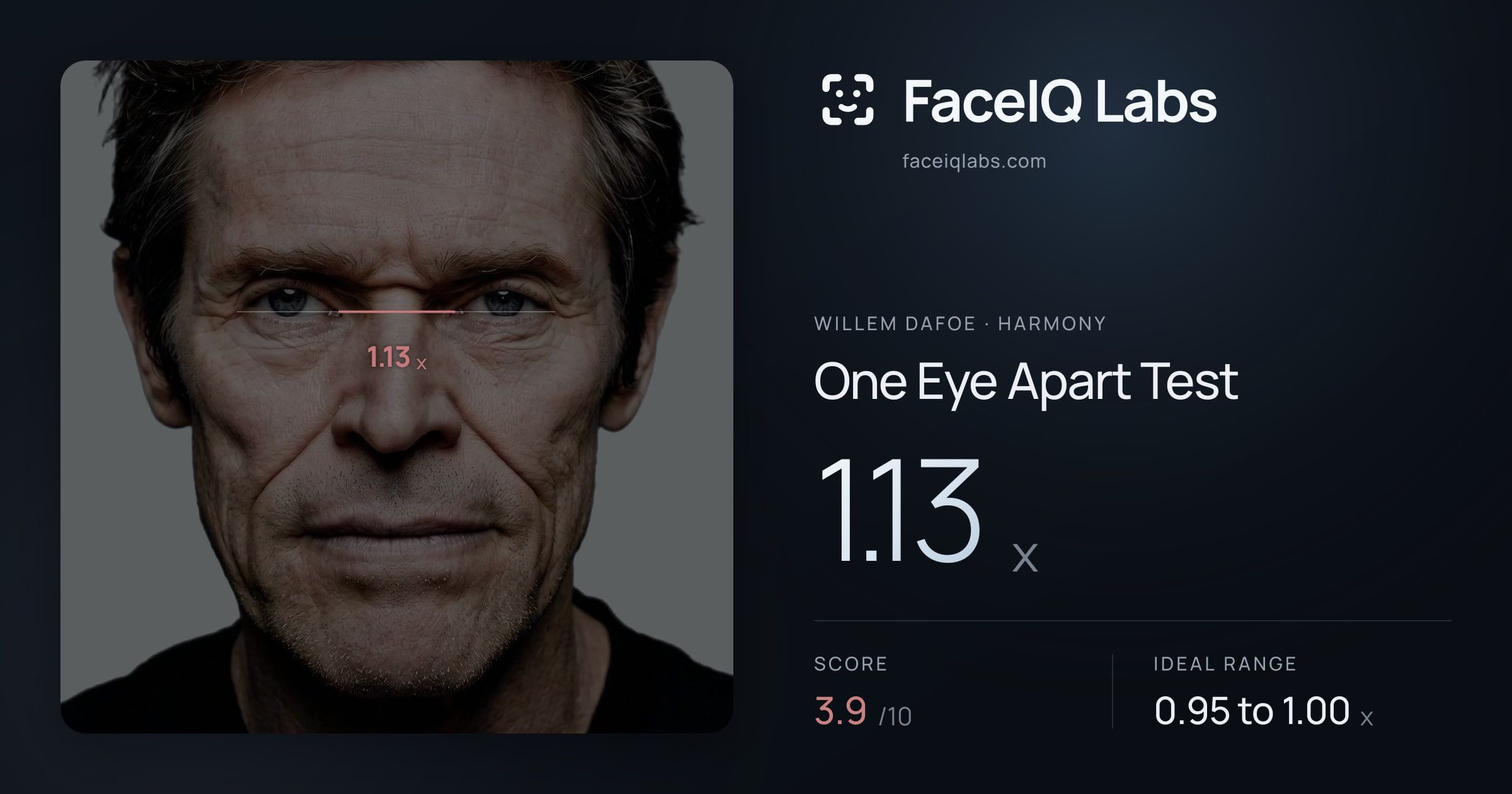 Willem Dafoe One Eye Apart Test: 1.13x, drawn on the photo