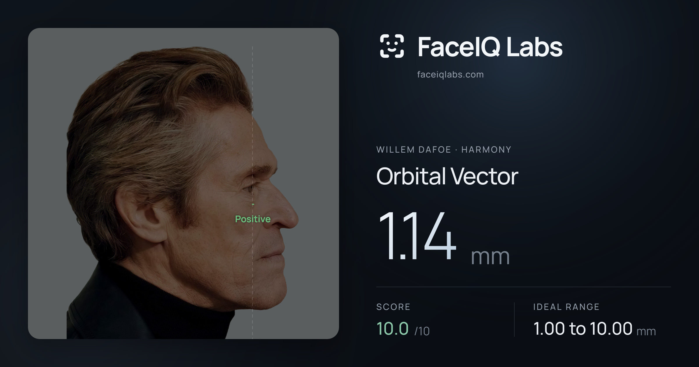 Willem Dafoe Orbital Vector: 1.14mm, drawn on the photo
