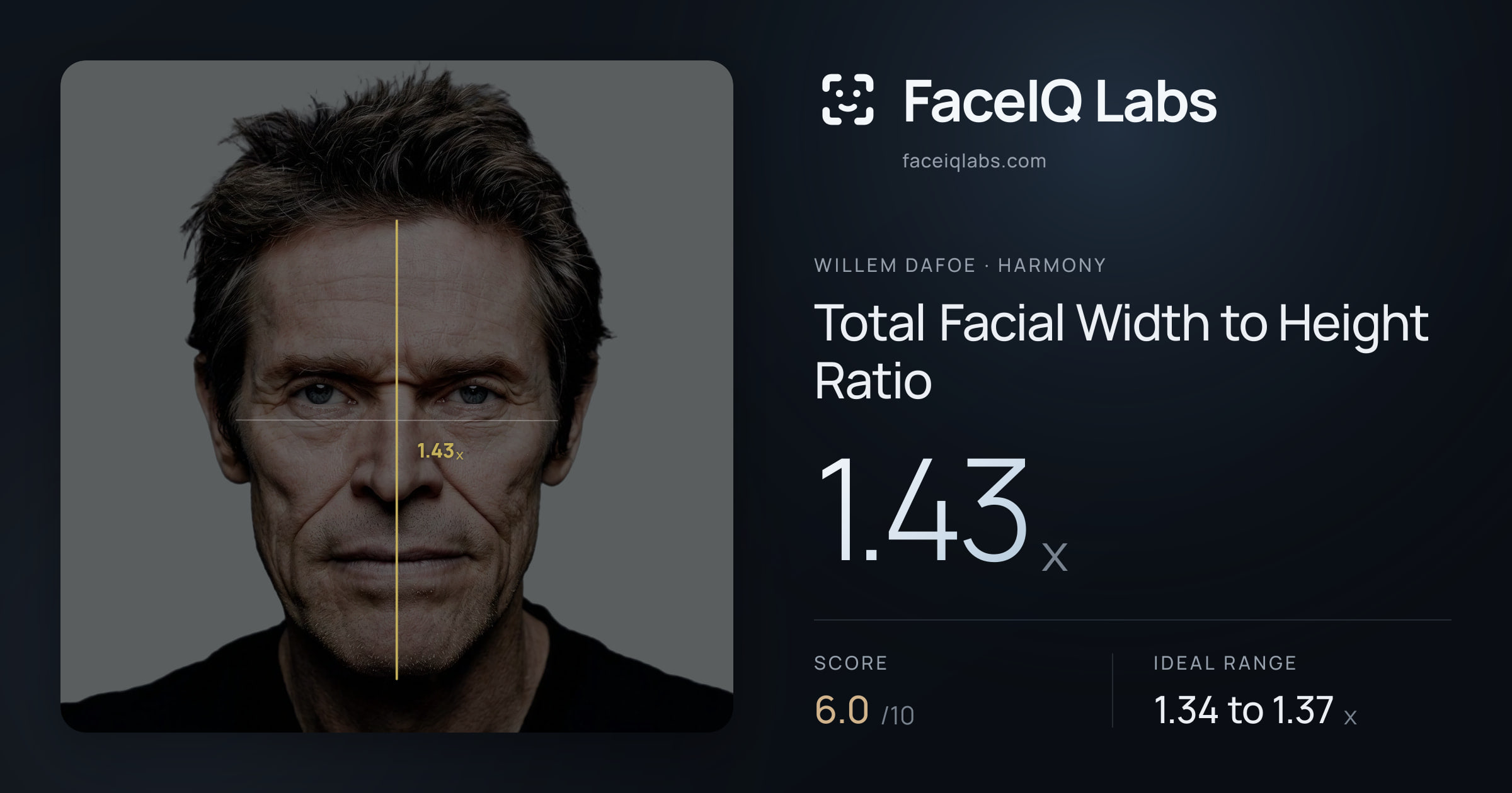 Willem Dafoe Total Facial Width to Height Ratio: 1.43x, drawn on the photo