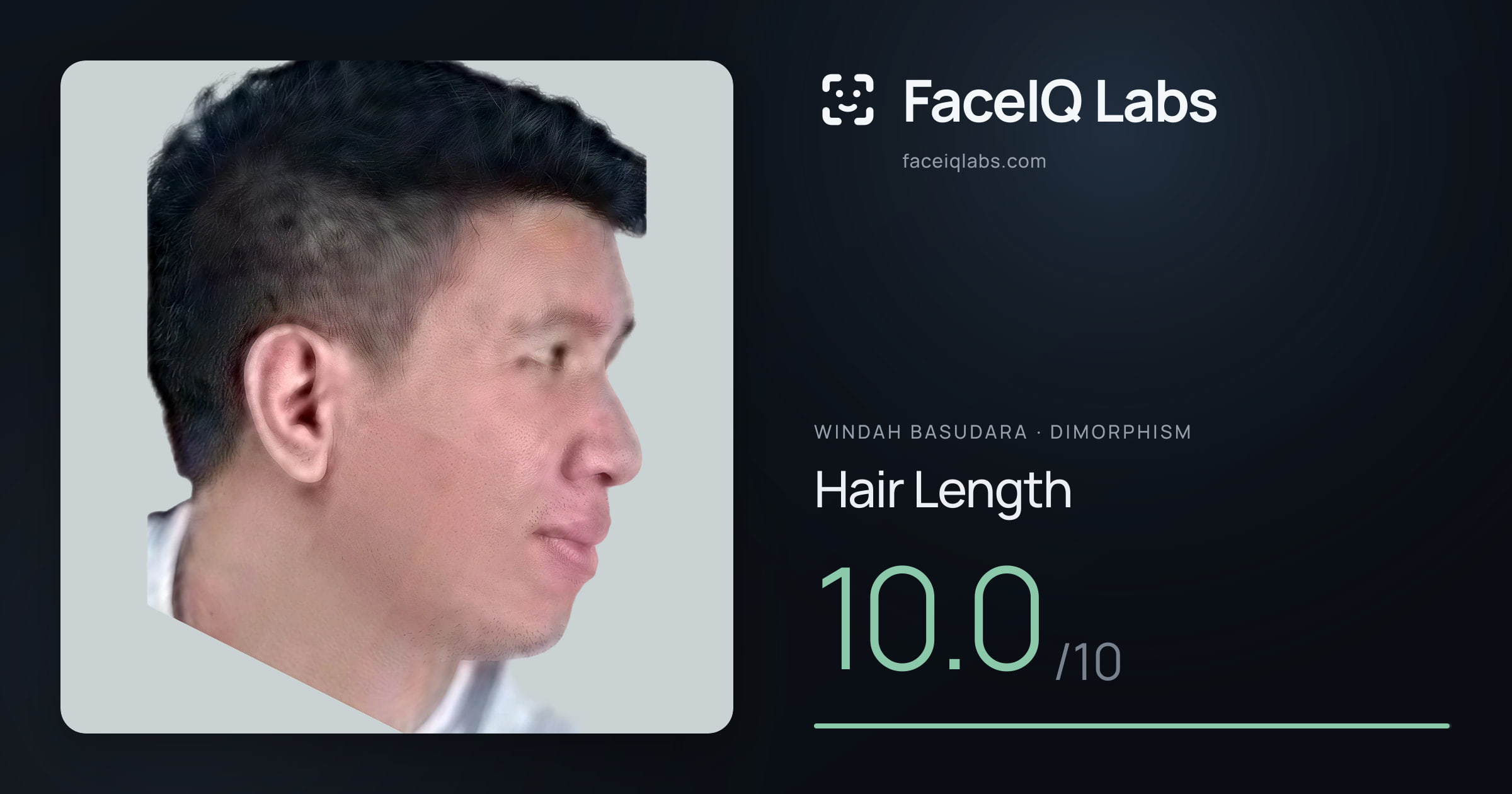 Windah Basudara Hair Length: 10.0/10, drawn on the photo
