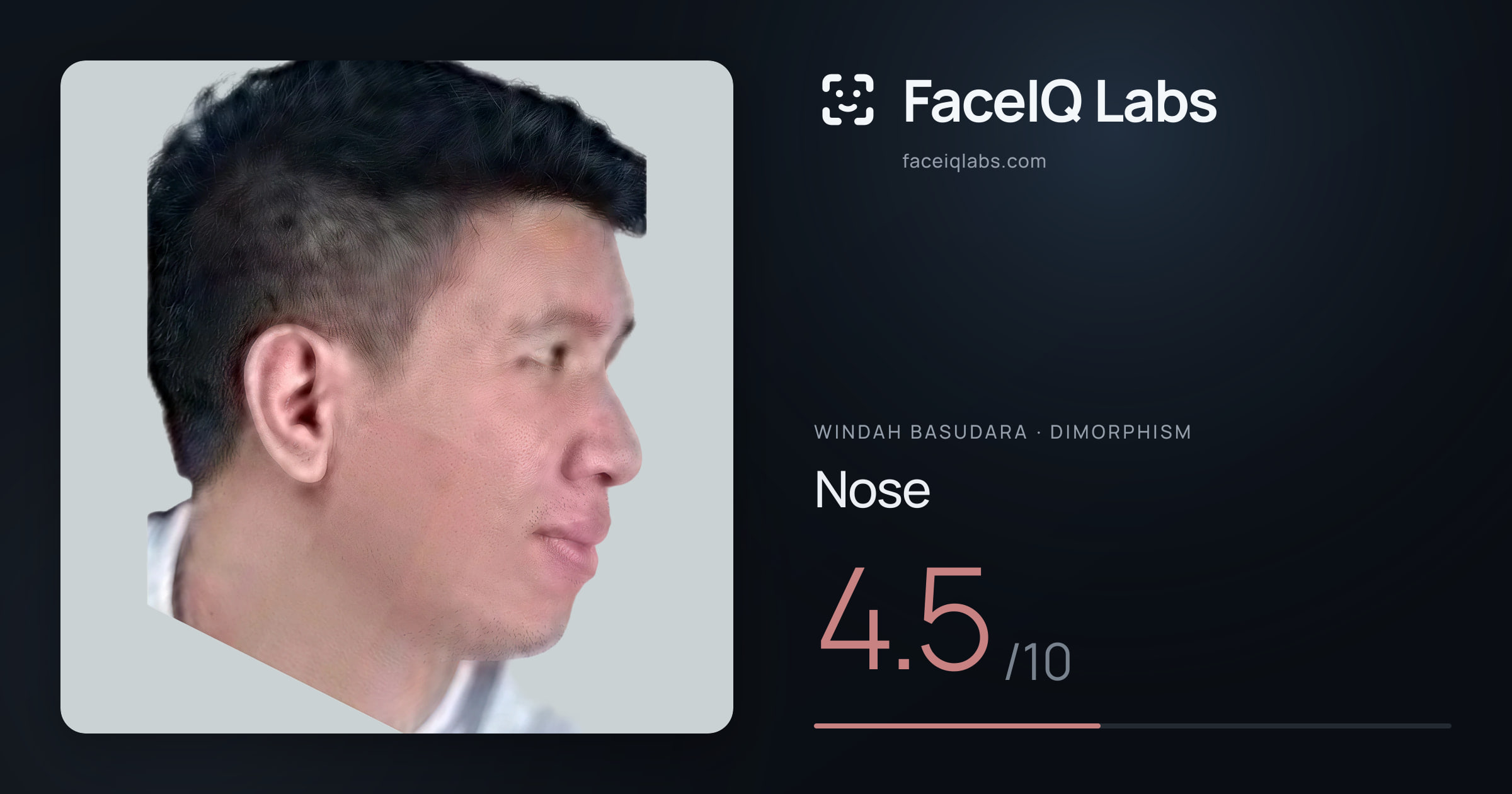 Windah Basudara Nose: 4.5/10, drawn on the photo