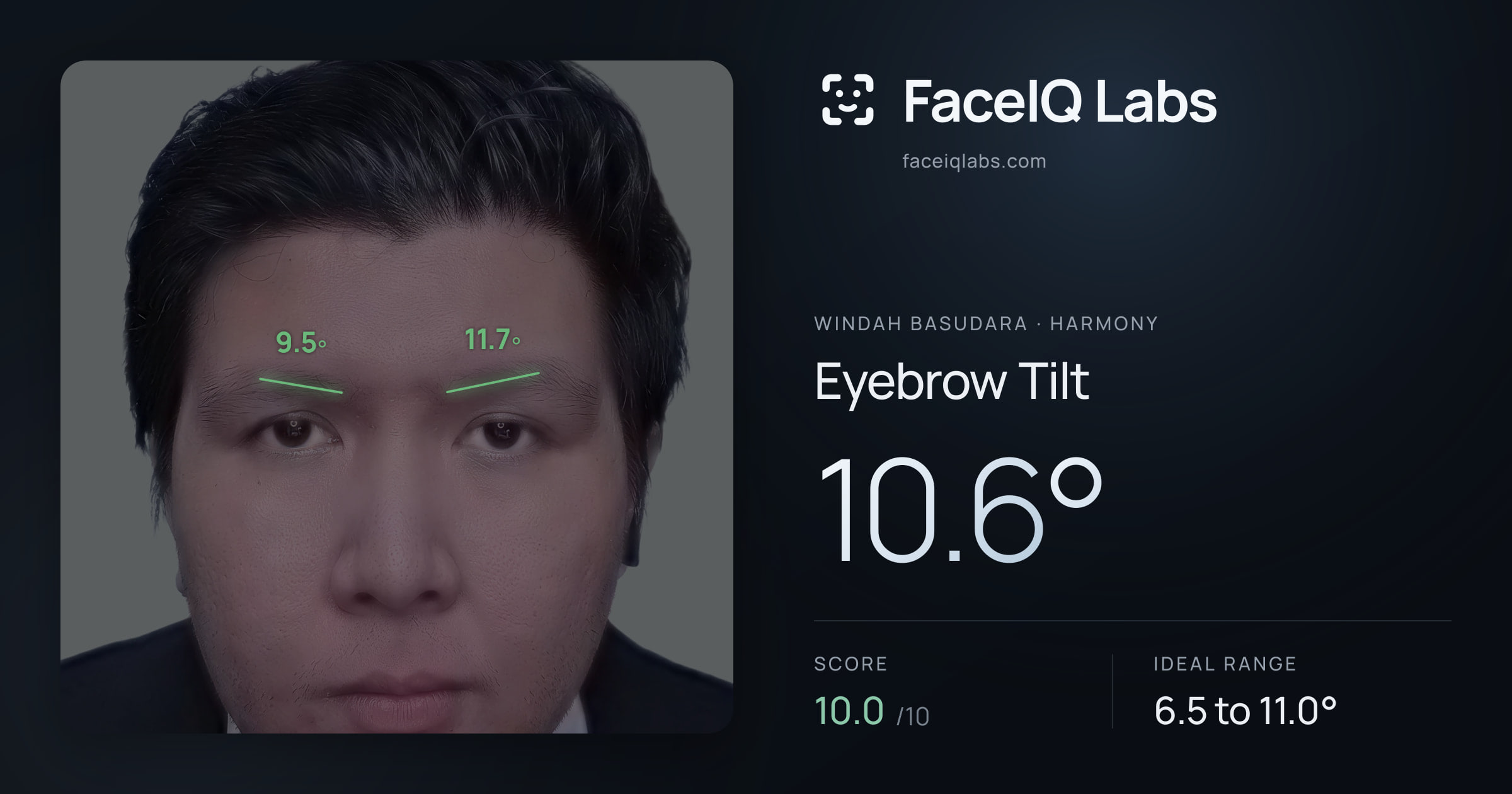 Windah Basudara Eyebrow Tilt: 10.6°, drawn on the photo