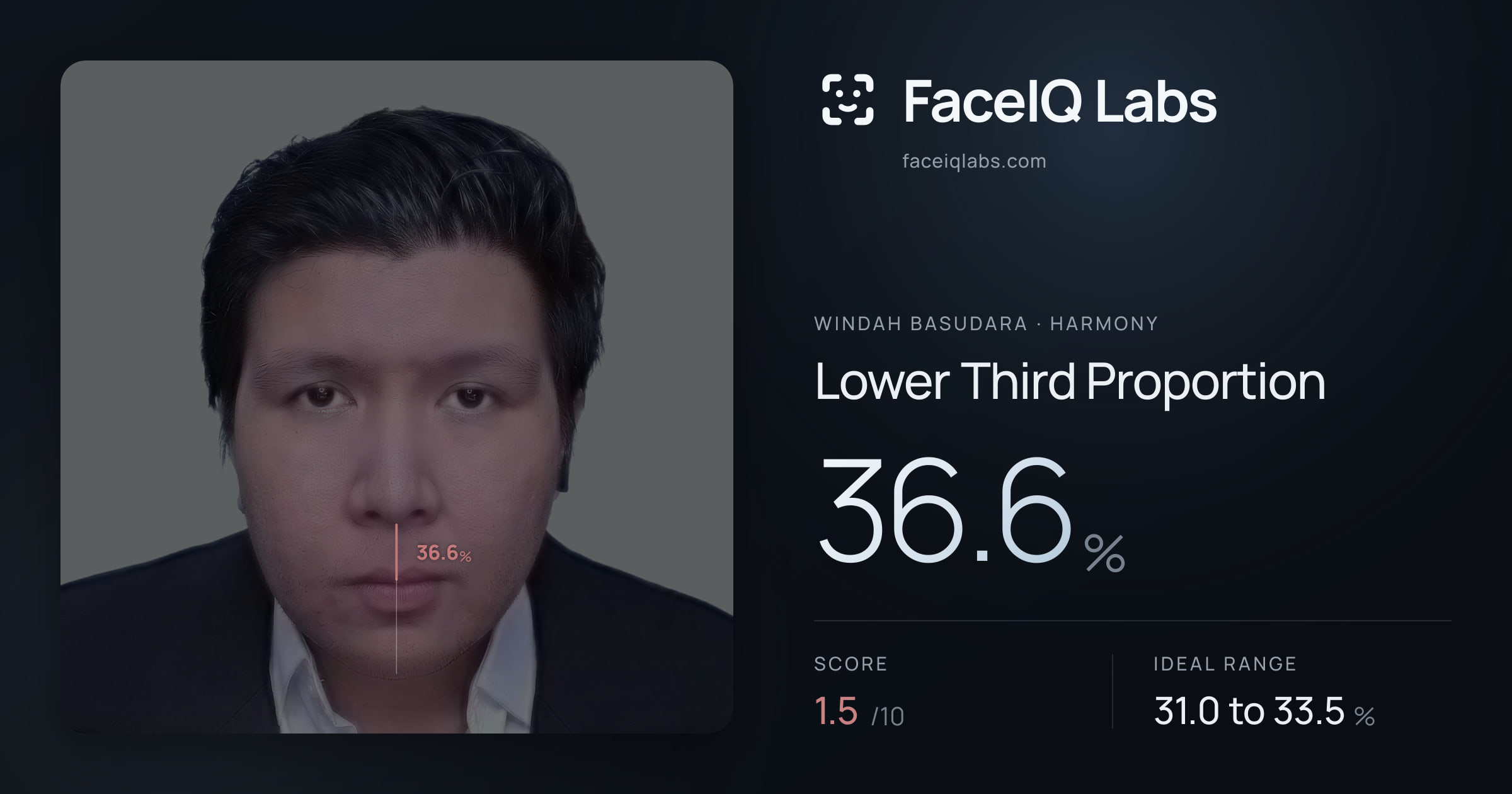 Windah Basudara Lower Third Proportion: 36.6%, drawn on the photo