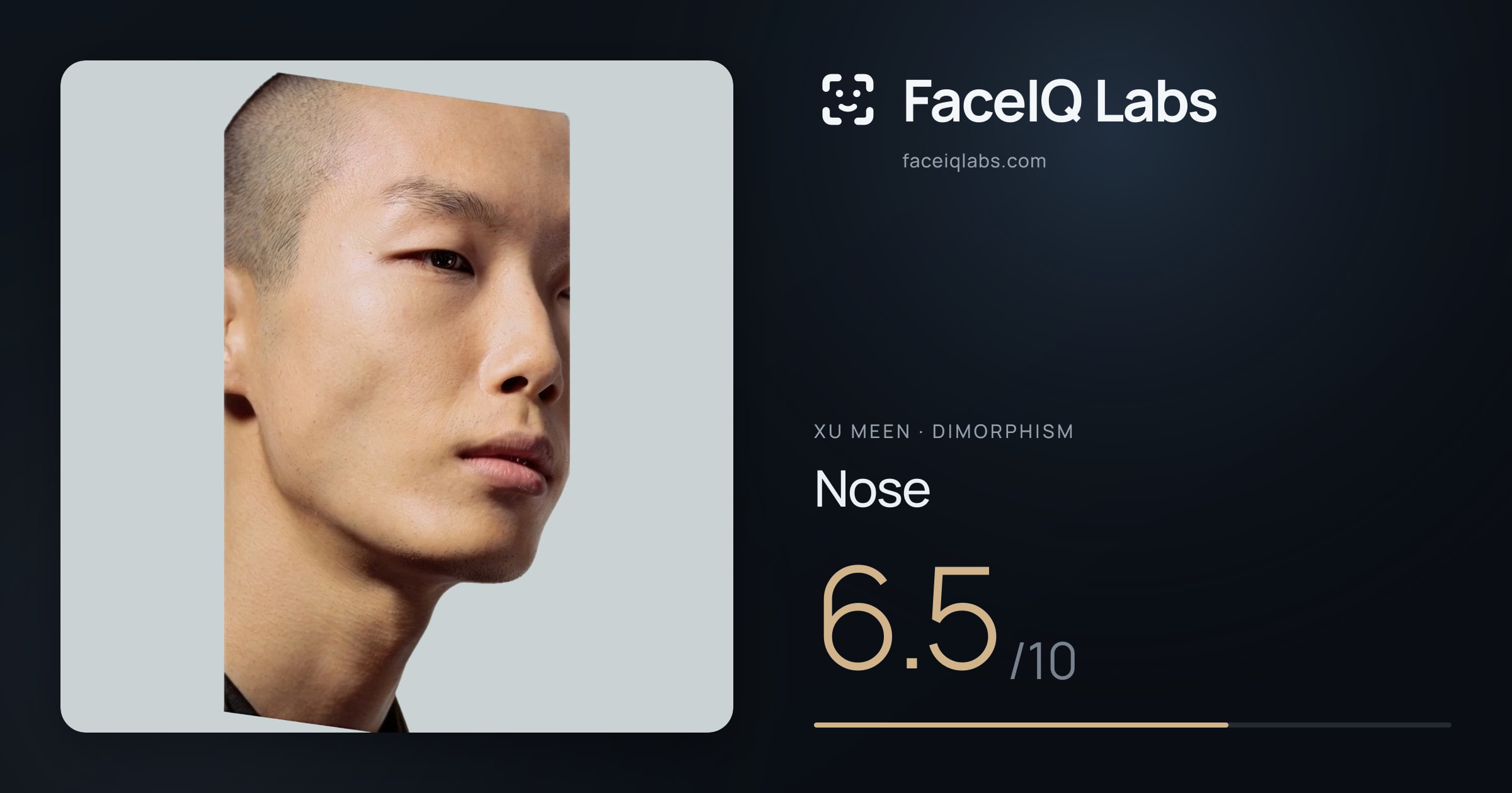 Xu Meen Nose: 6.5/10, drawn on the photo