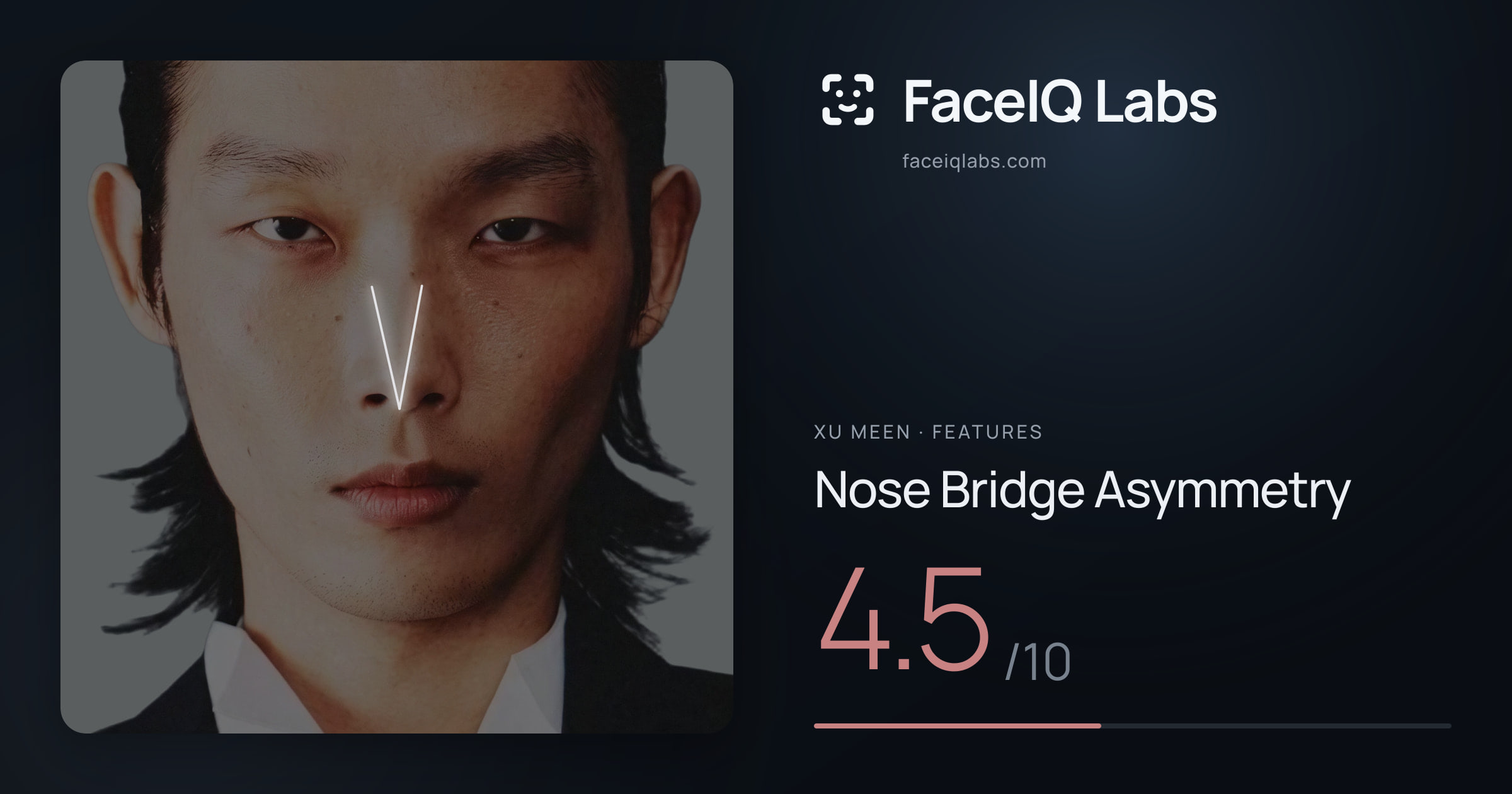 Xu Meen Nose Bridge Asymmetry: 4.5/10, drawn on the photo