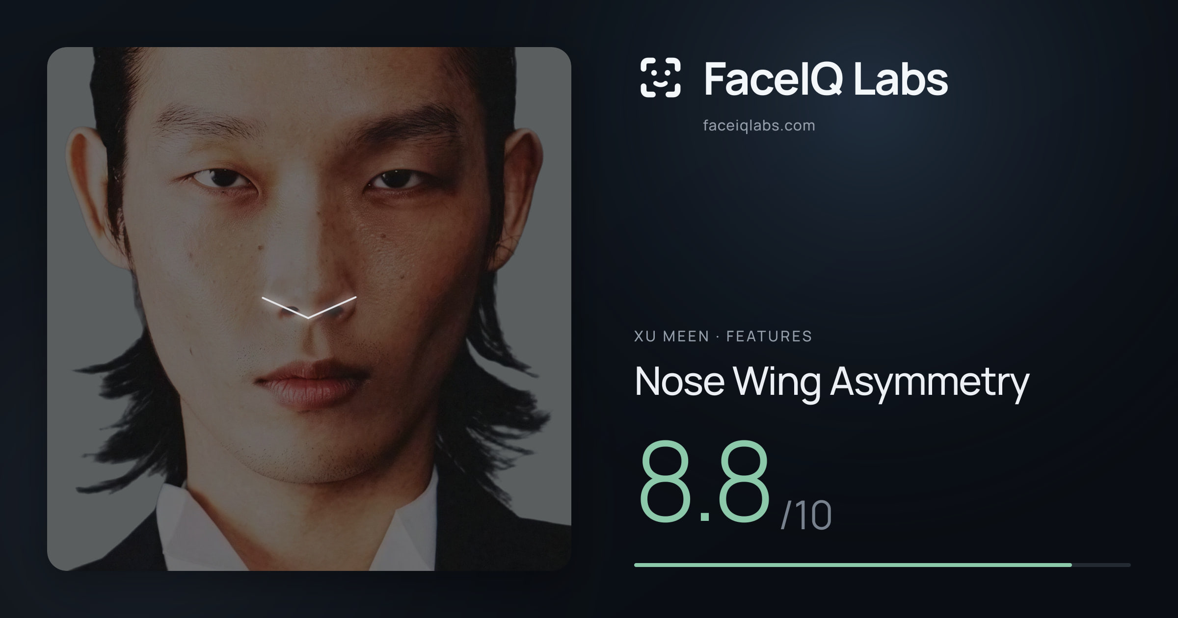 Xu Meen Nose Wing Asymmetry: 8.8/10, drawn on the photo