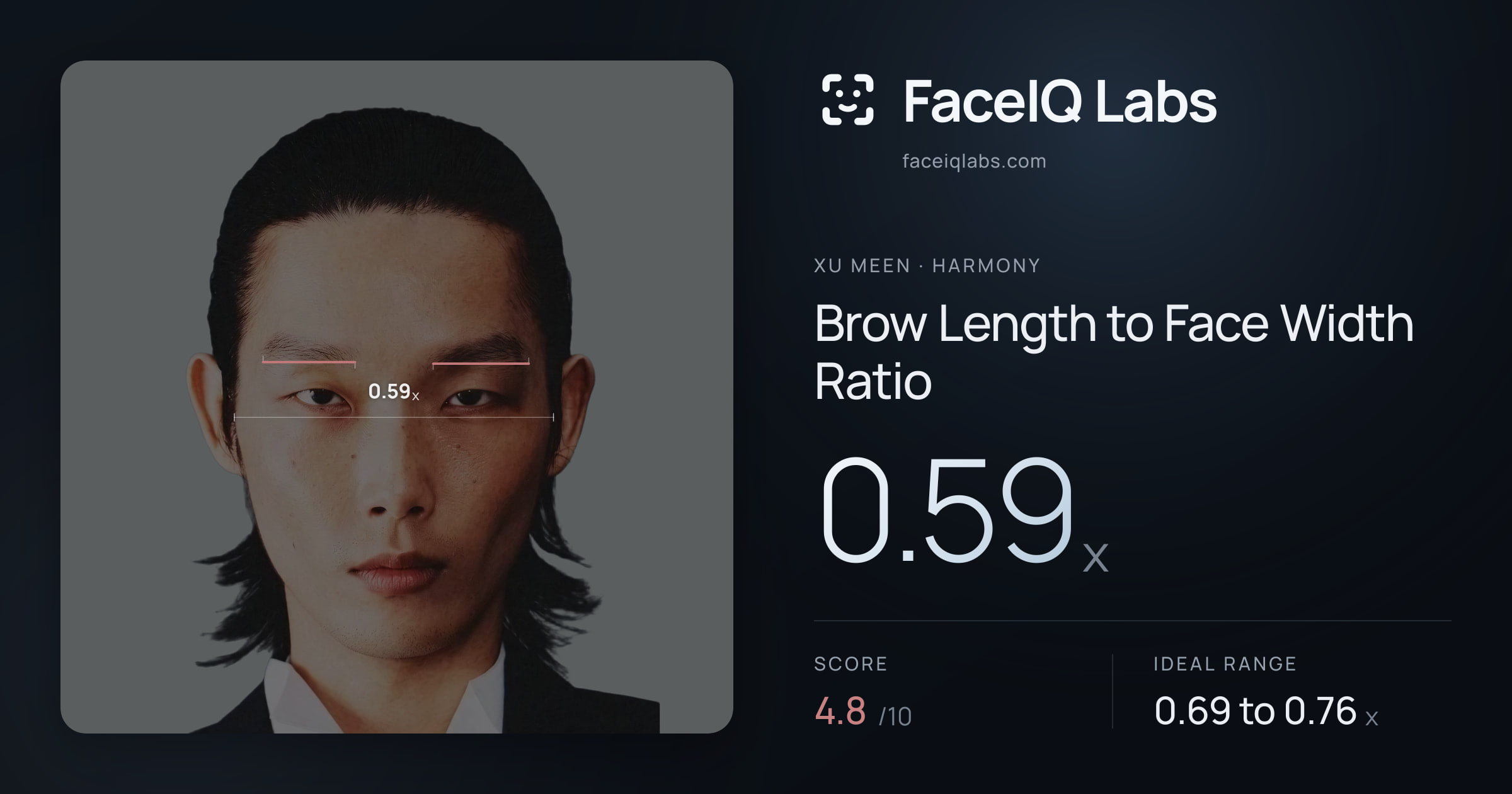 Xu Meen Brow Length to Face Width Ratio: 0.59x, drawn on the photo