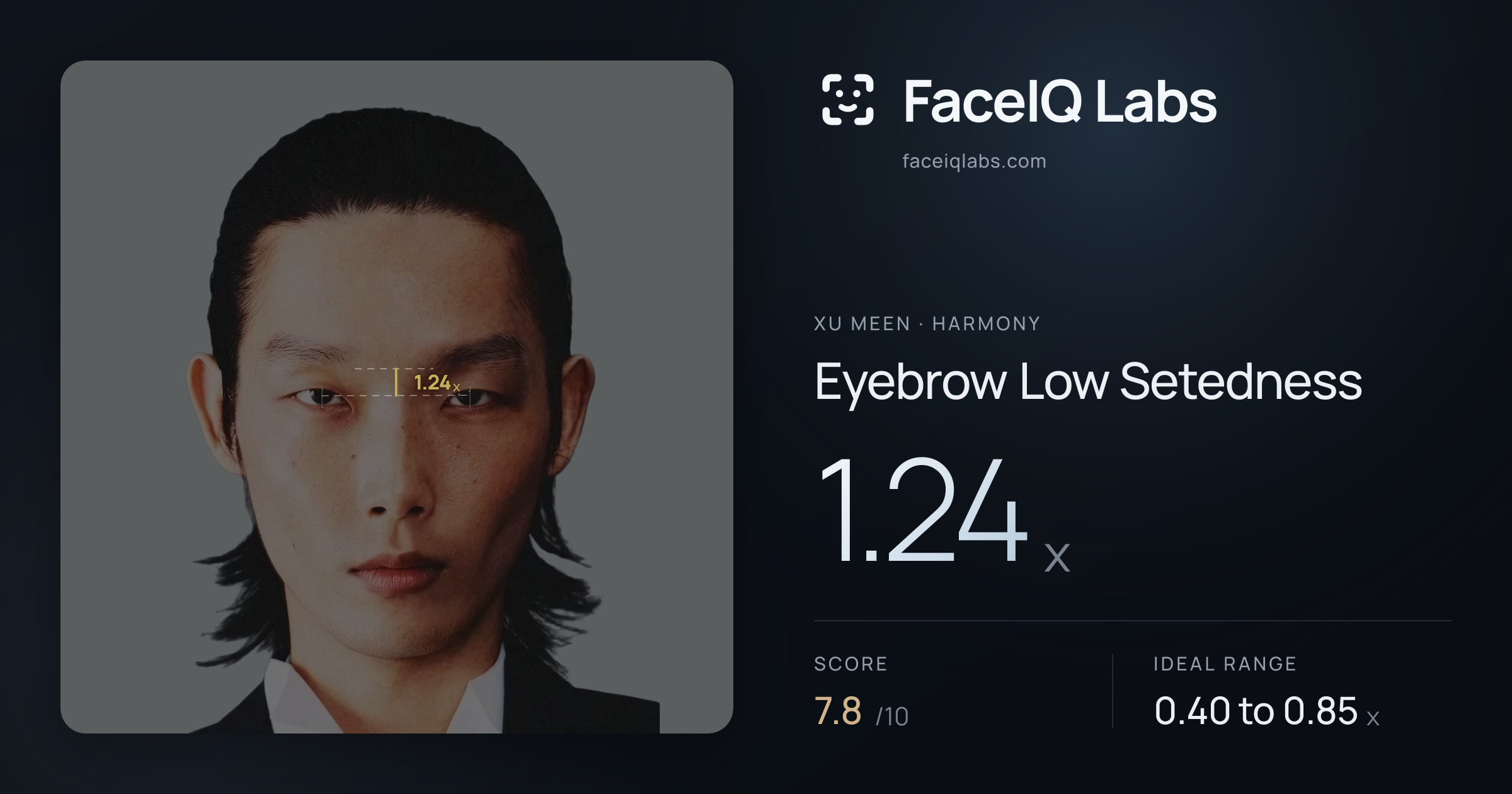 Xu Meen Eyebrow Low Setedness: 1.24x, drawn on the photo