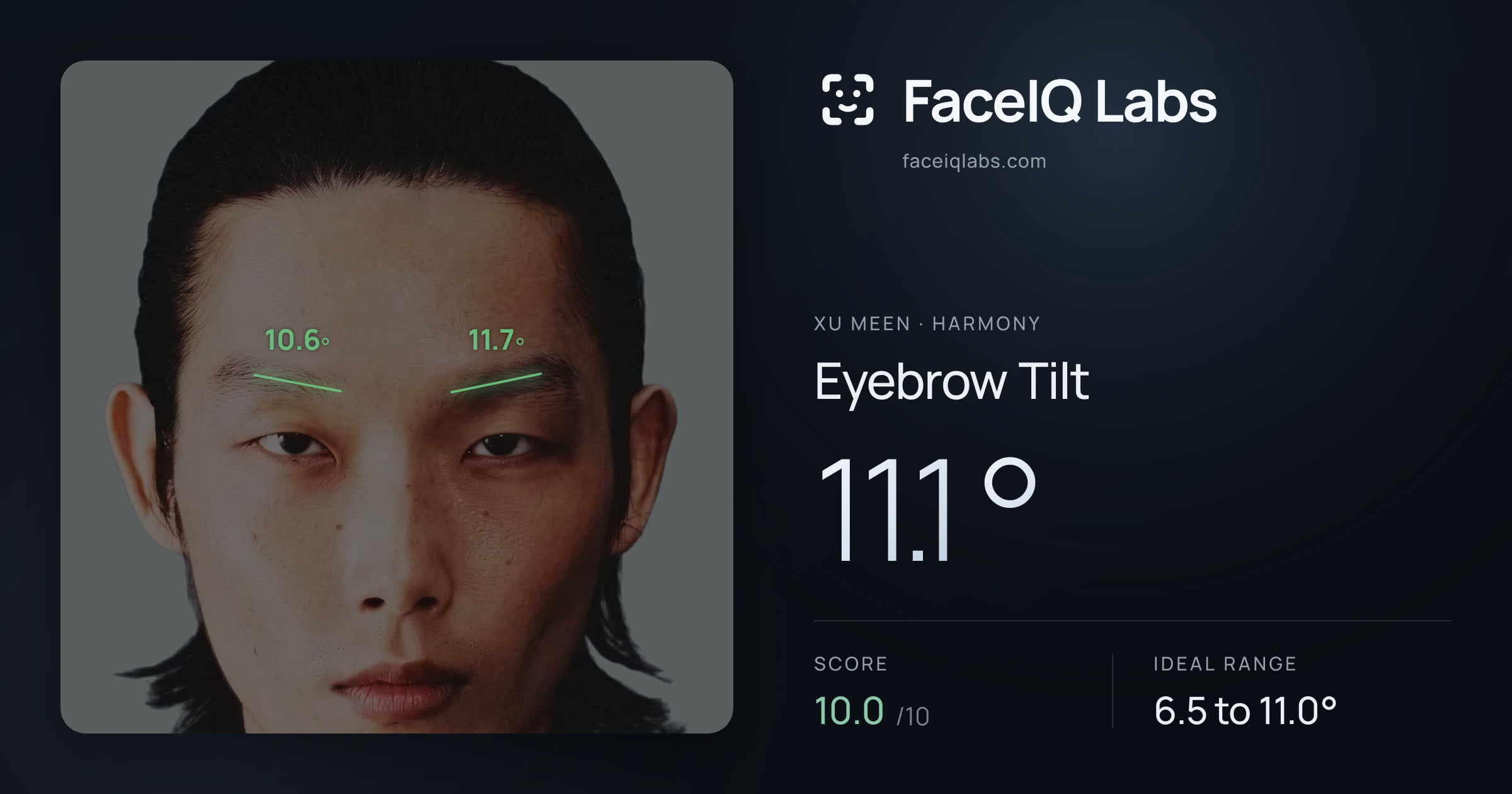 Xu Meen Eyebrow Tilt: 11.1°, drawn on the photo
