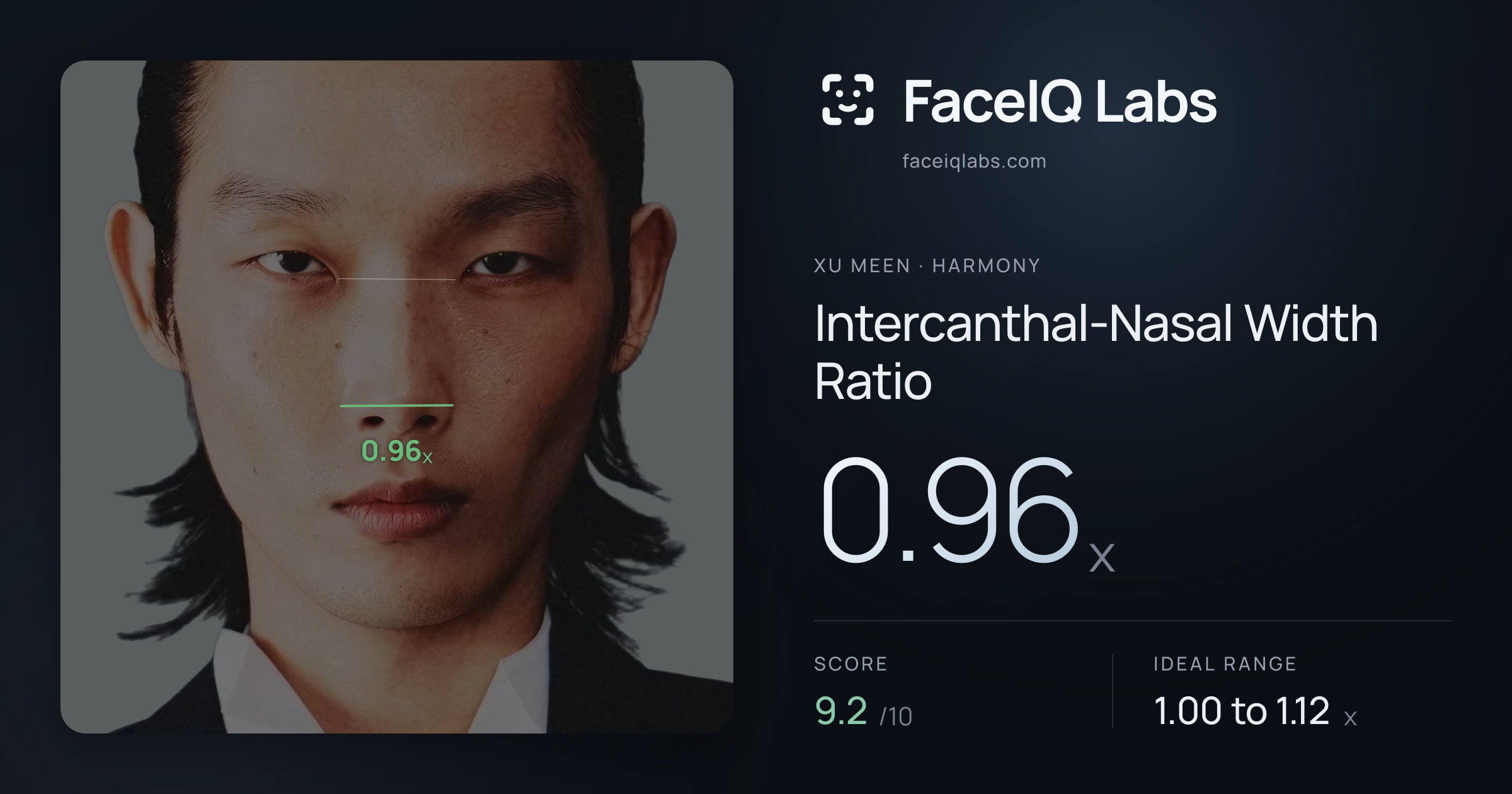 Xu Meen Intercanthal-Nasal Width Ratio: 0.96x, drawn on the photo