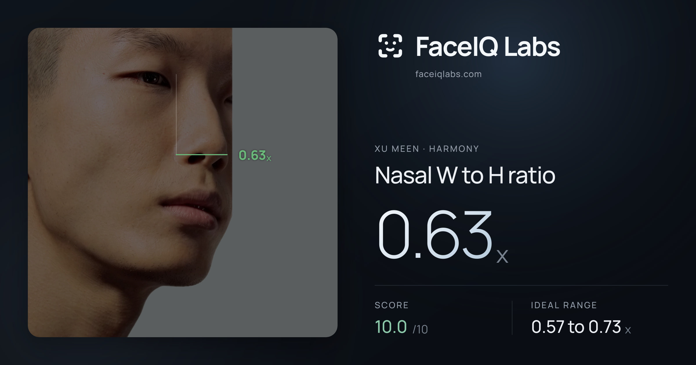 Xu Meen Nasal W to H ratio: 0.63x, drawn on the photo