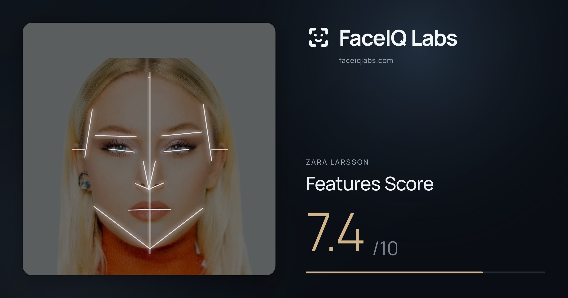 Zara Larsson Features: 7.4/10, with each assessment drawn on the photo
