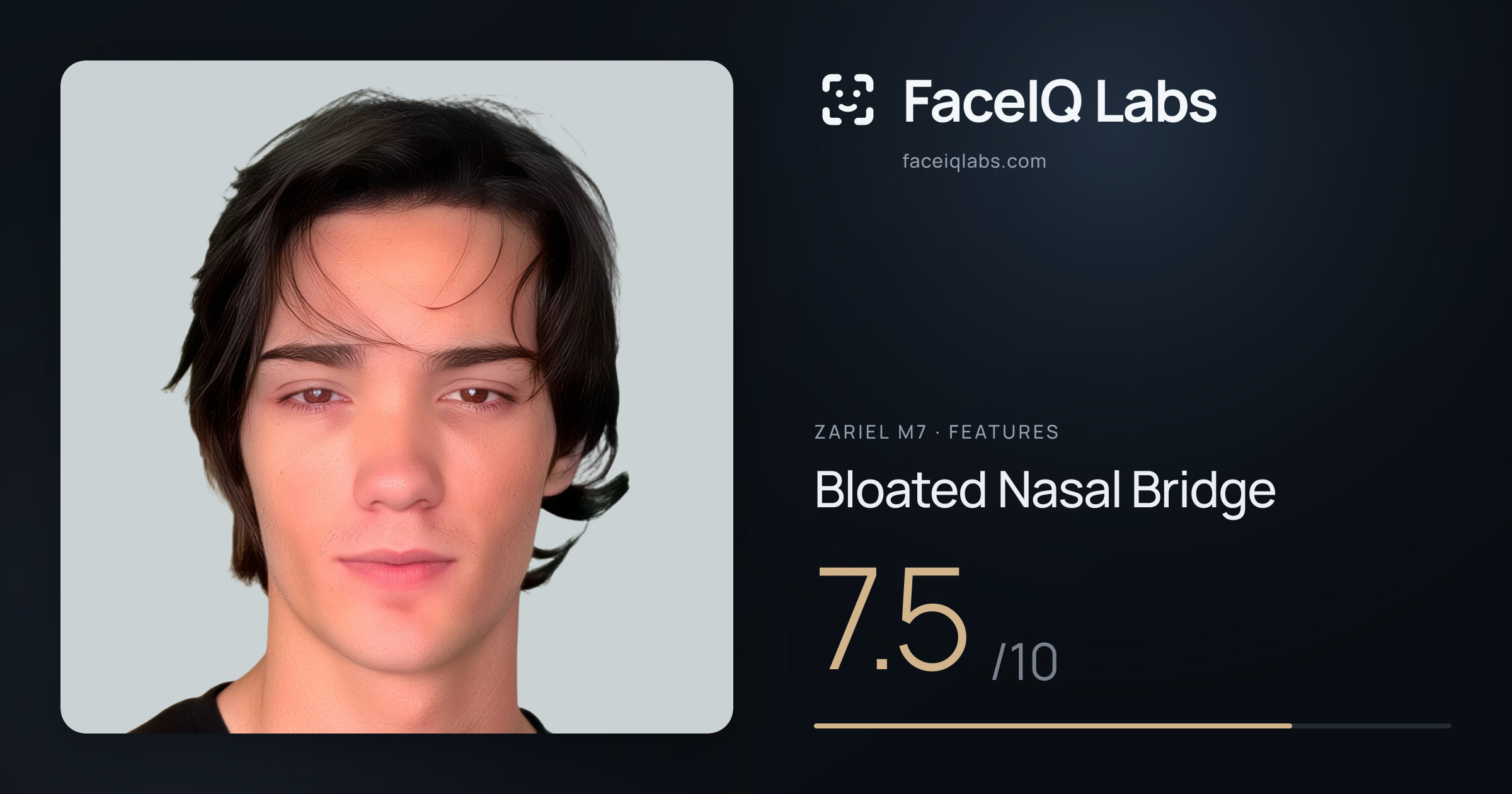 Zariel M7 Bloated Nasal Bridge: 7.5/10, drawn on the photo