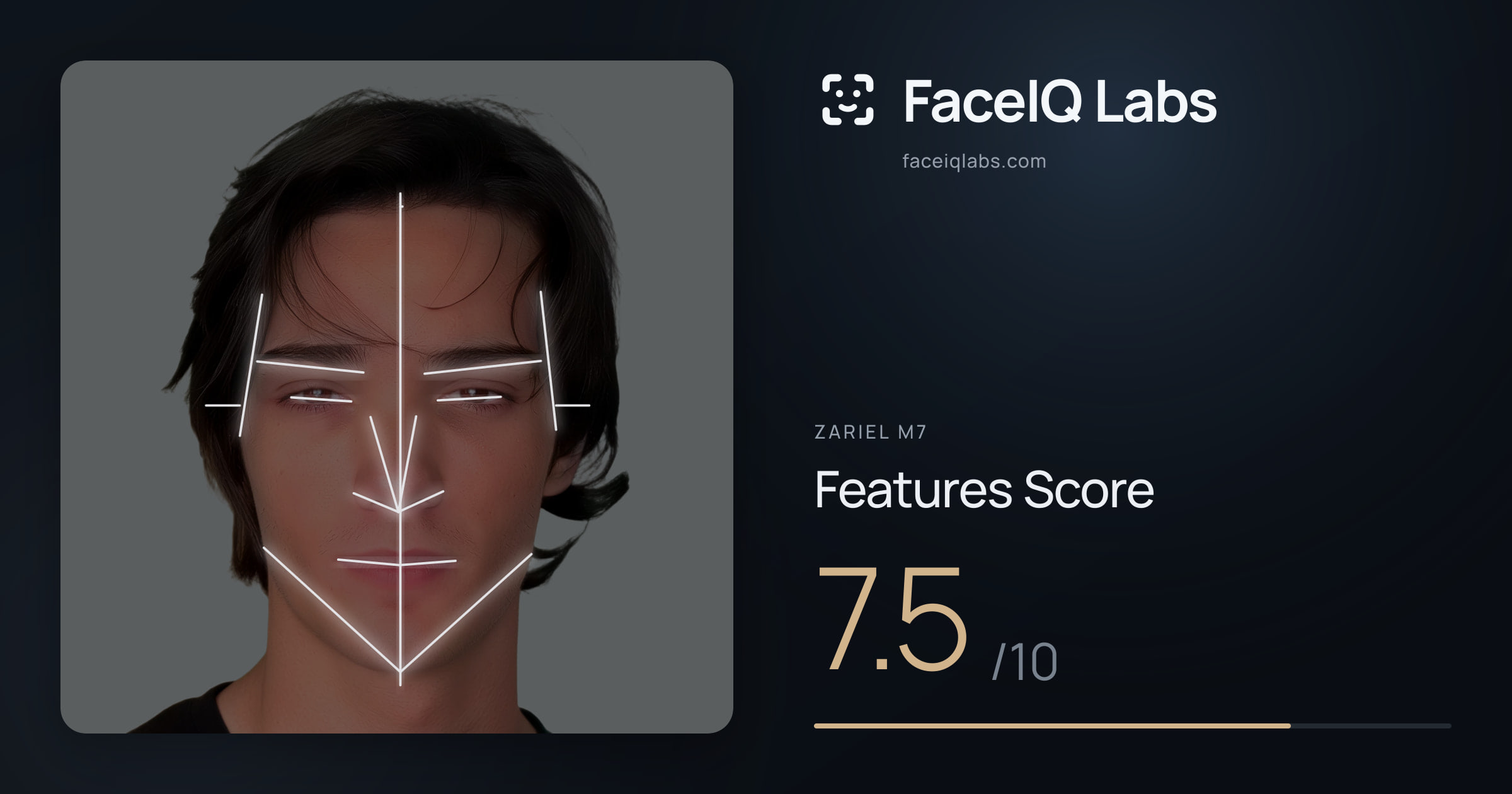 Zariel M7 Features: 7.5/10, with each assessment drawn on the photo