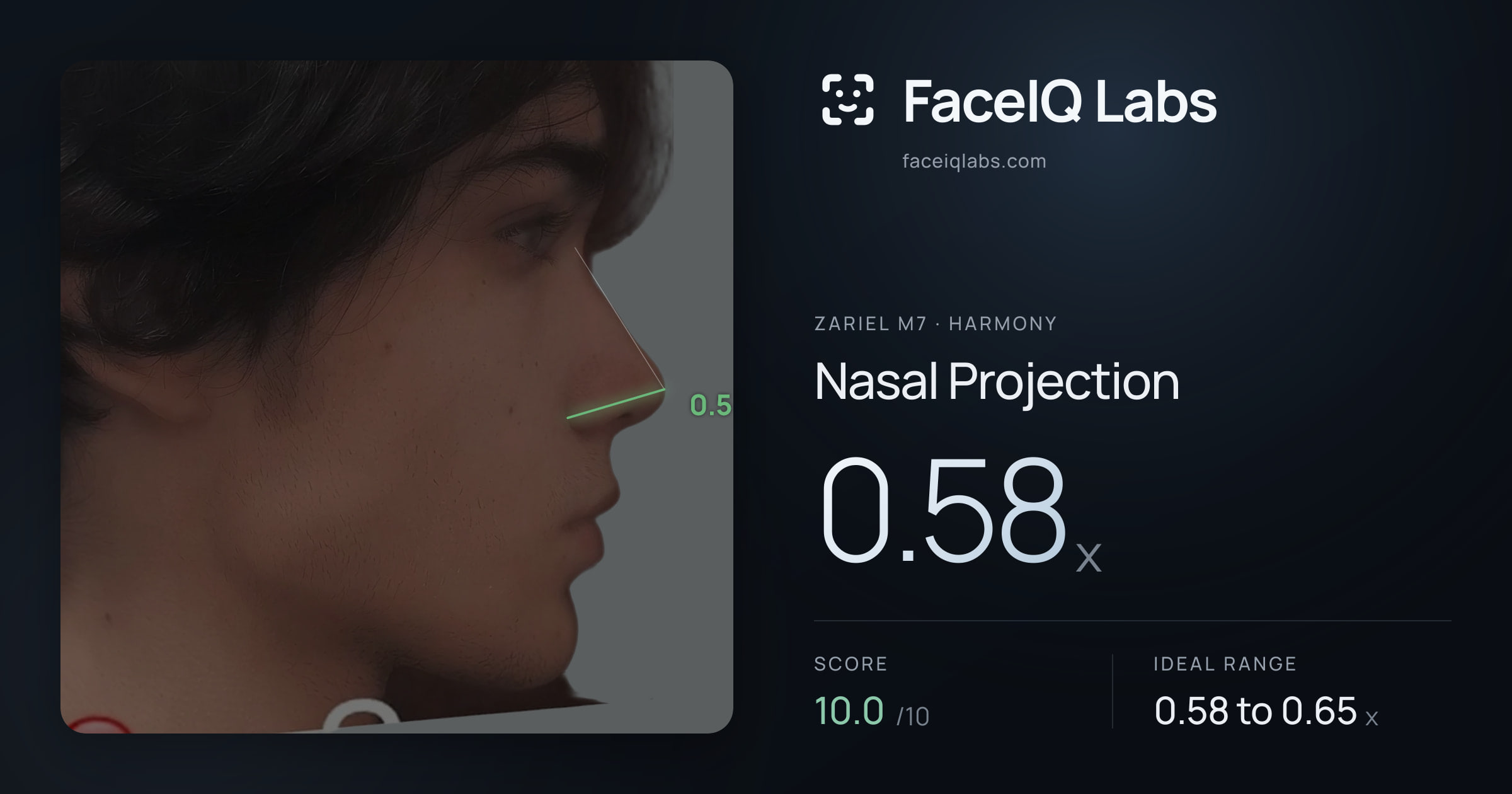 Zariel M7 Nasal Projection: 0.58x, drawn on the photo
