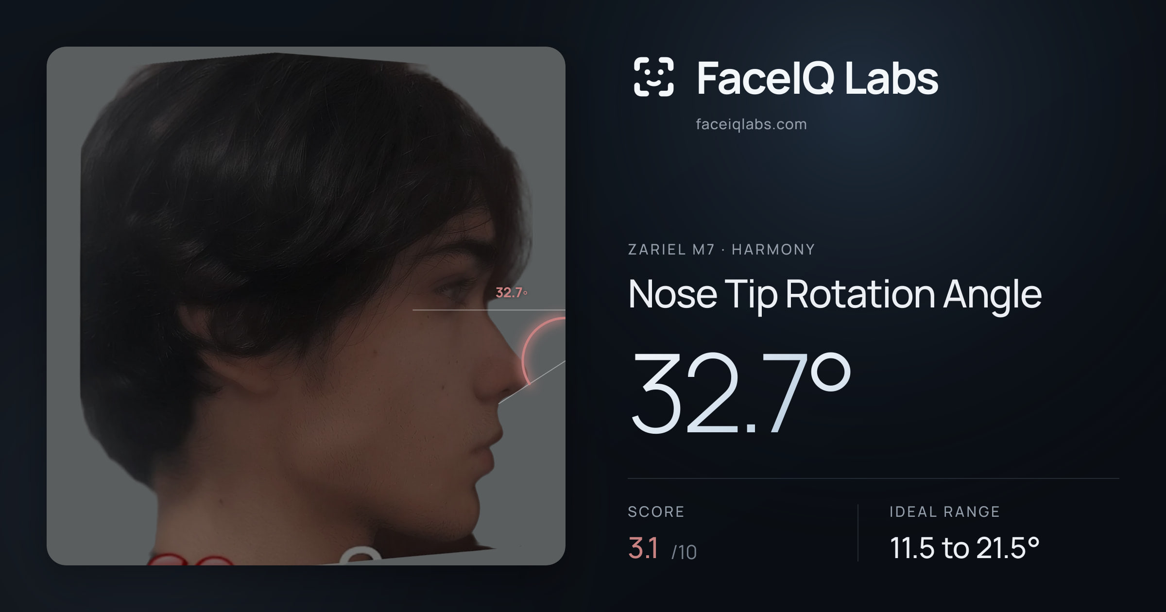 Zariel M7 Nose Tip Rotation Angle: 32.7°, drawn on the photo