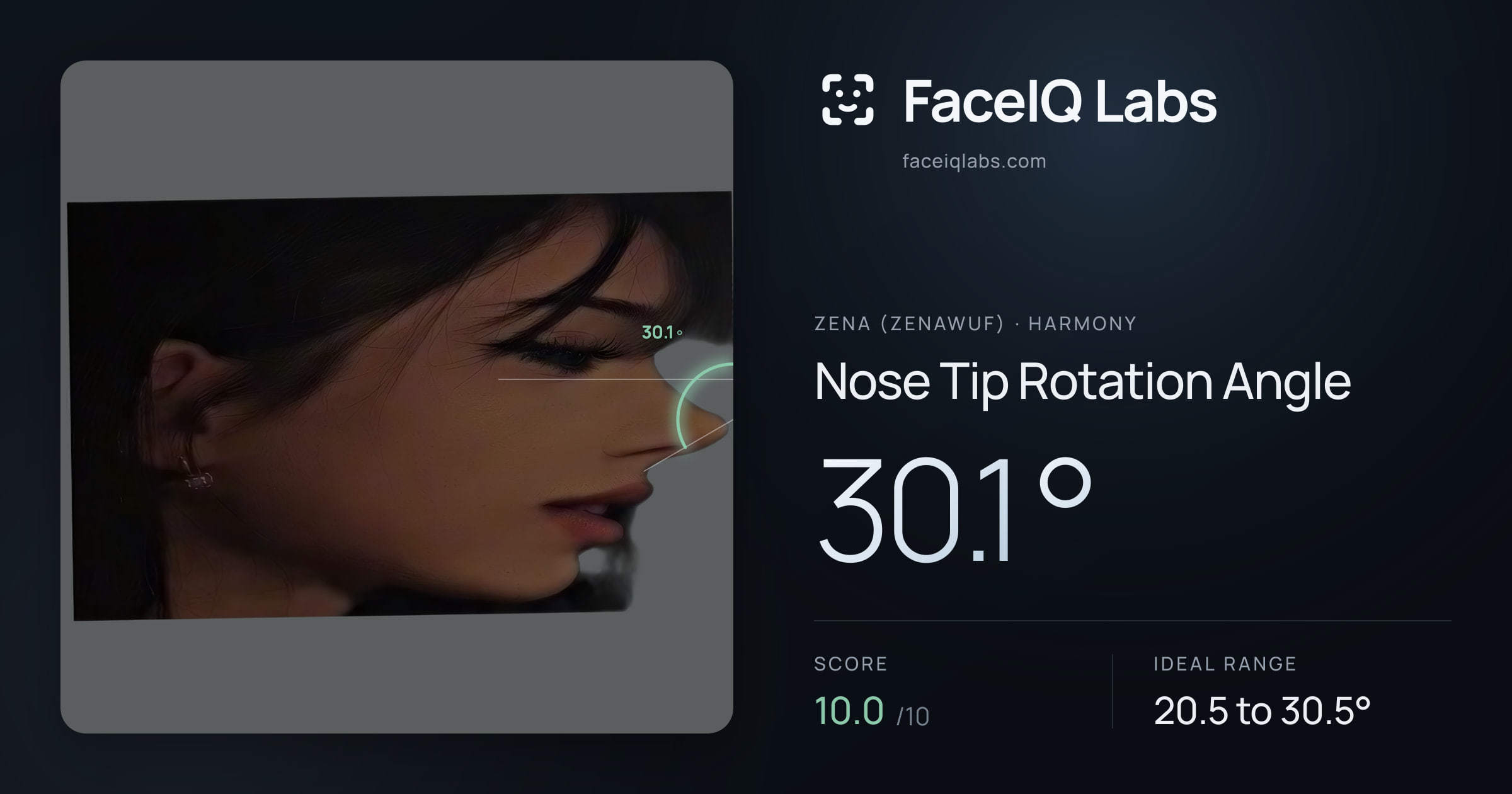 Zena (Zenawuf) Nose Tip Rotation Angle: 30.1°, drawn on the photo