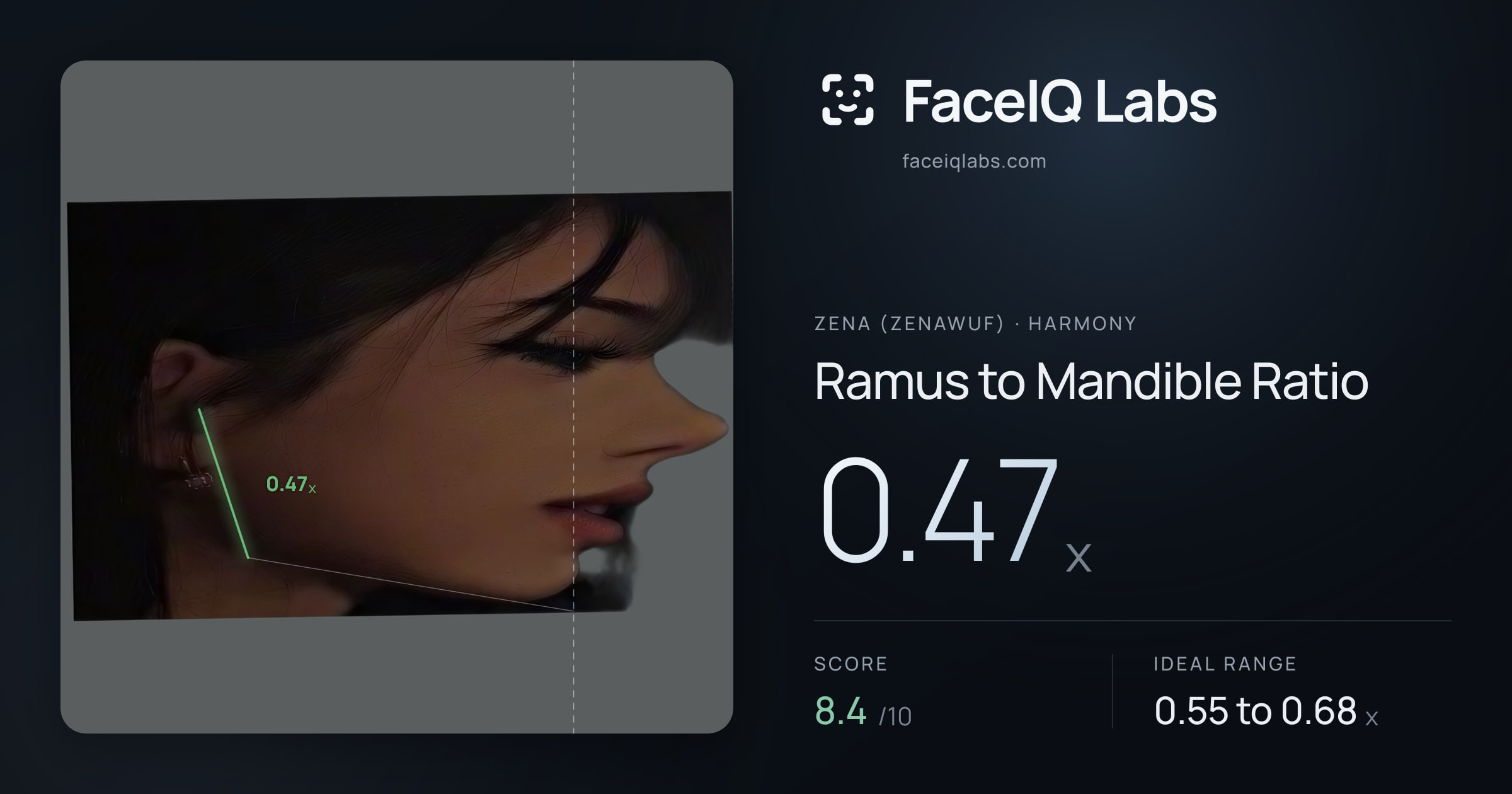 Zena (Zenawuf) Ramus to Mandible Ratio: 0.47x, drawn on the photo