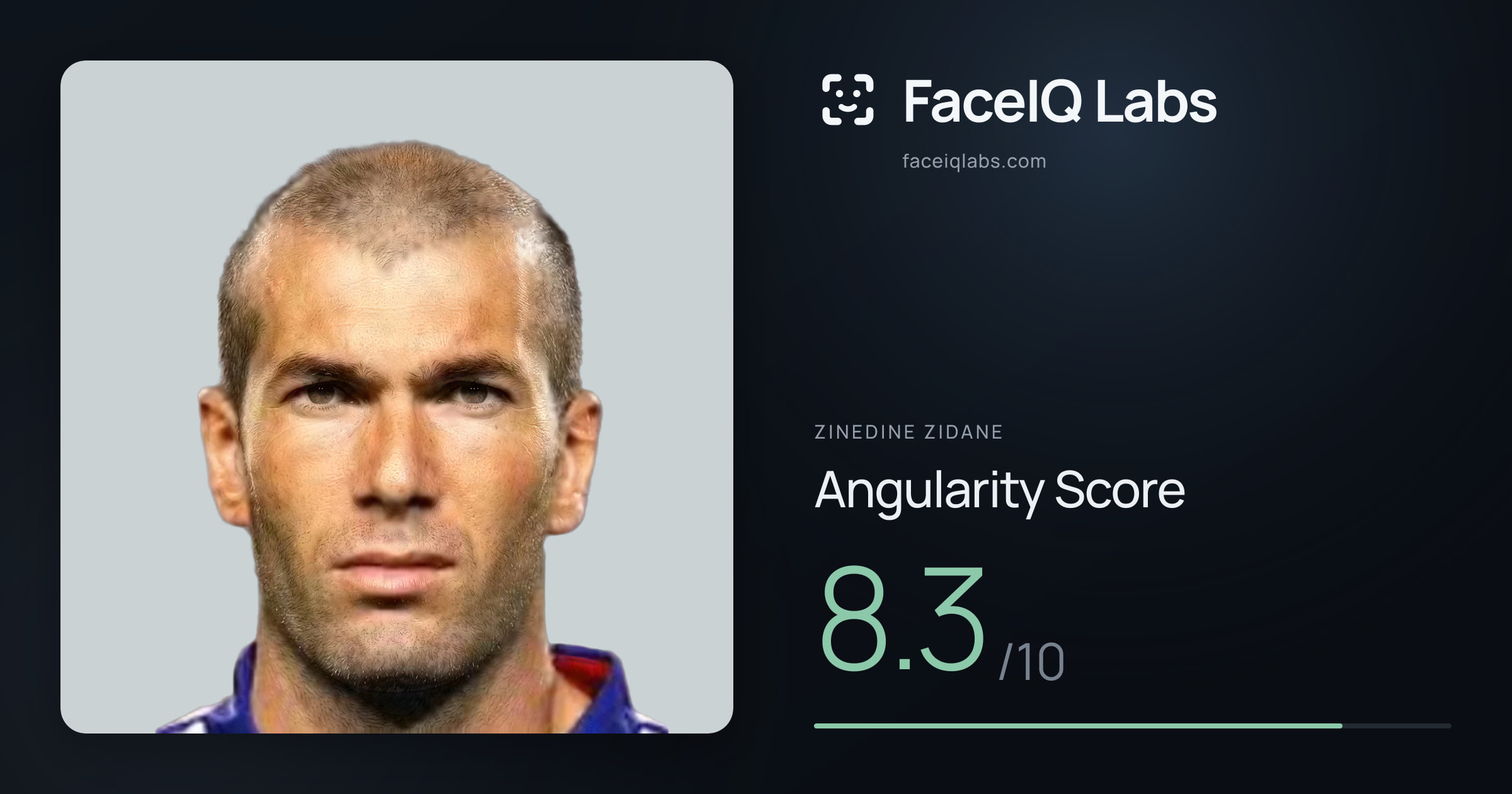 Zinedine Zidane Angularity: 7.8/10, with each assessment drawn on the photo