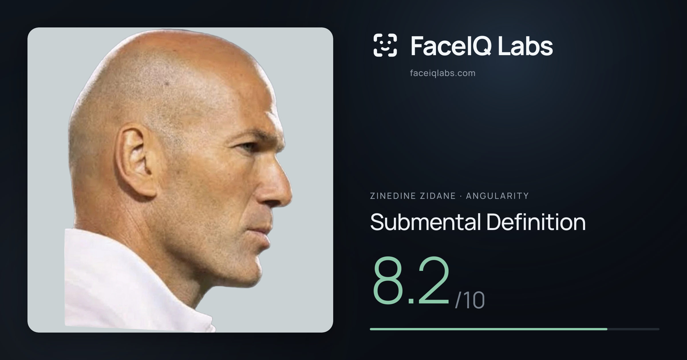 Zinedine Zidane Submental Definition: 8.2/10, drawn on the photo