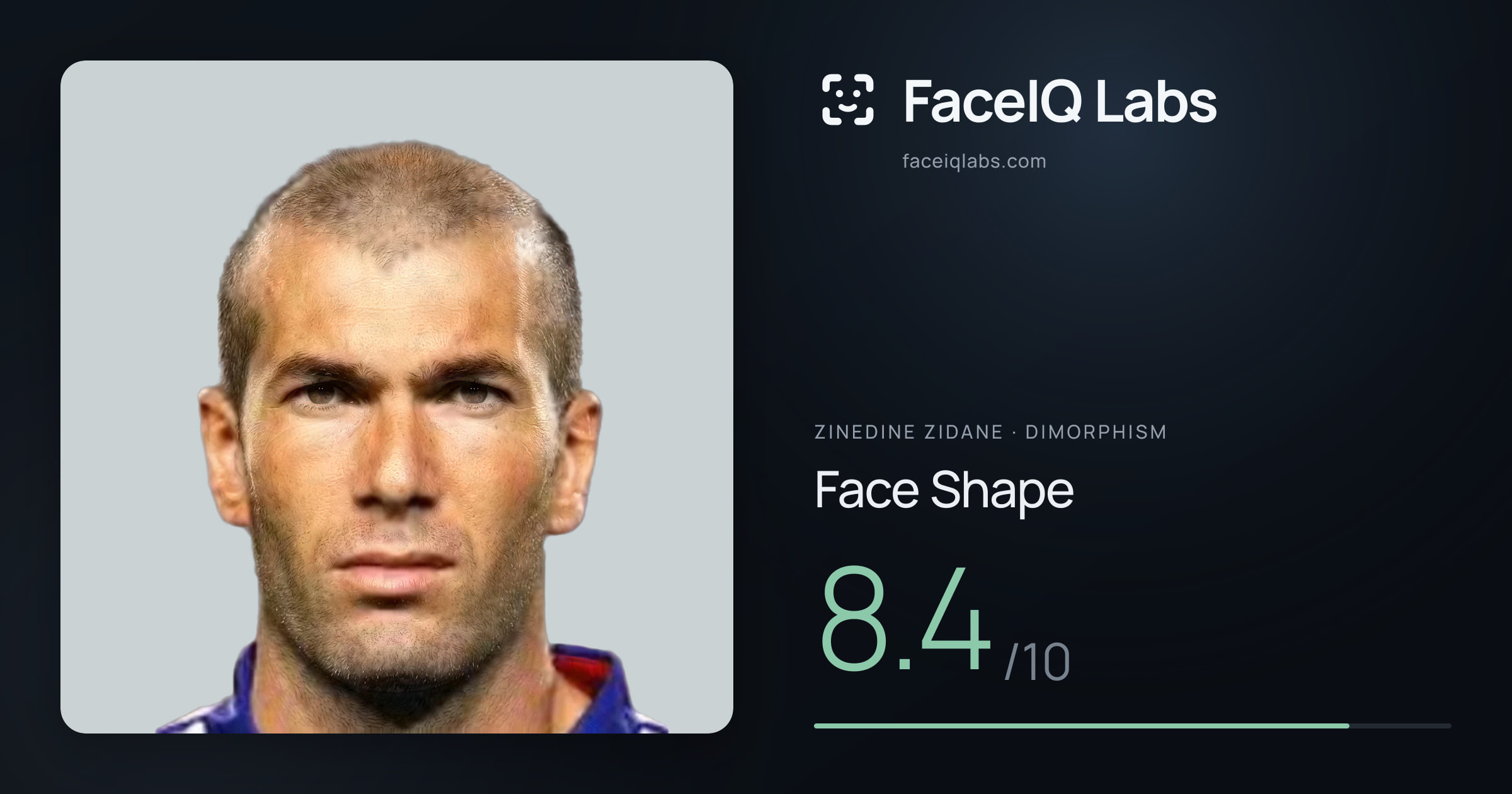 Zinedine Zidane Face Shape: 8.4/10, drawn on the photo