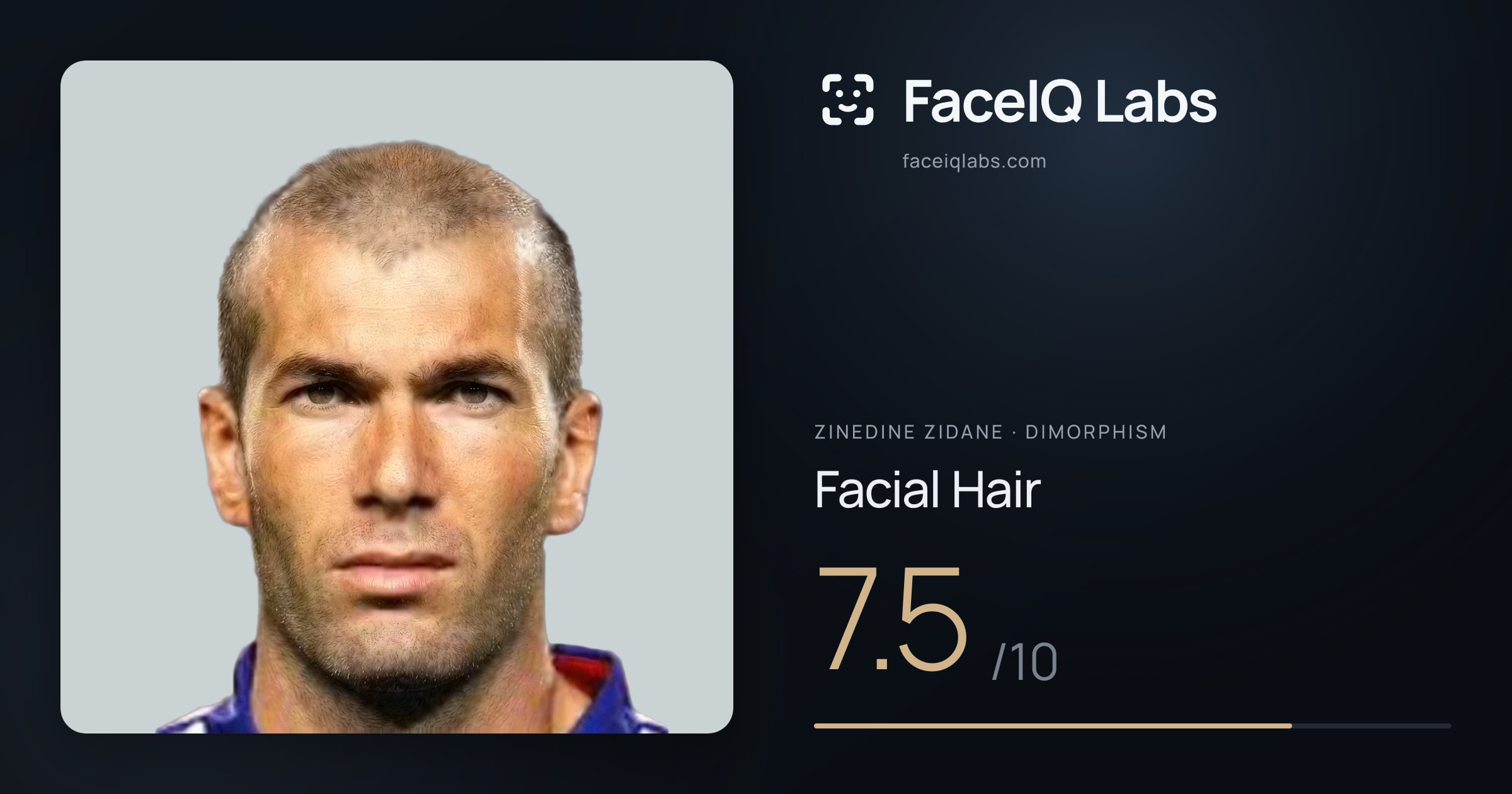 Zinedine Zidane Facial Hair: 7.5/10, drawn on the photo