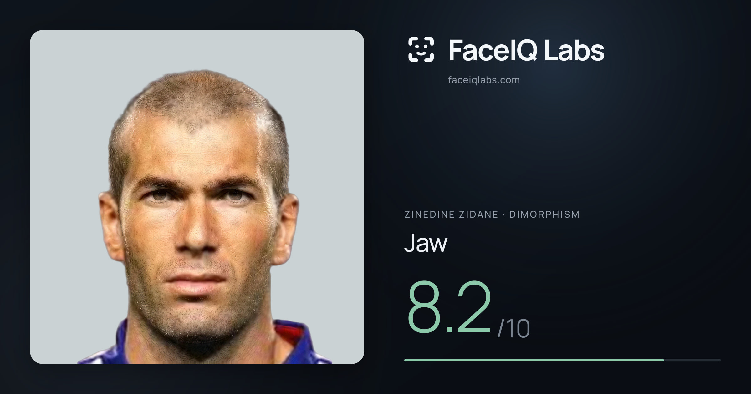 Zinedine Zidane Jaw: 8.2/10, drawn on the photo