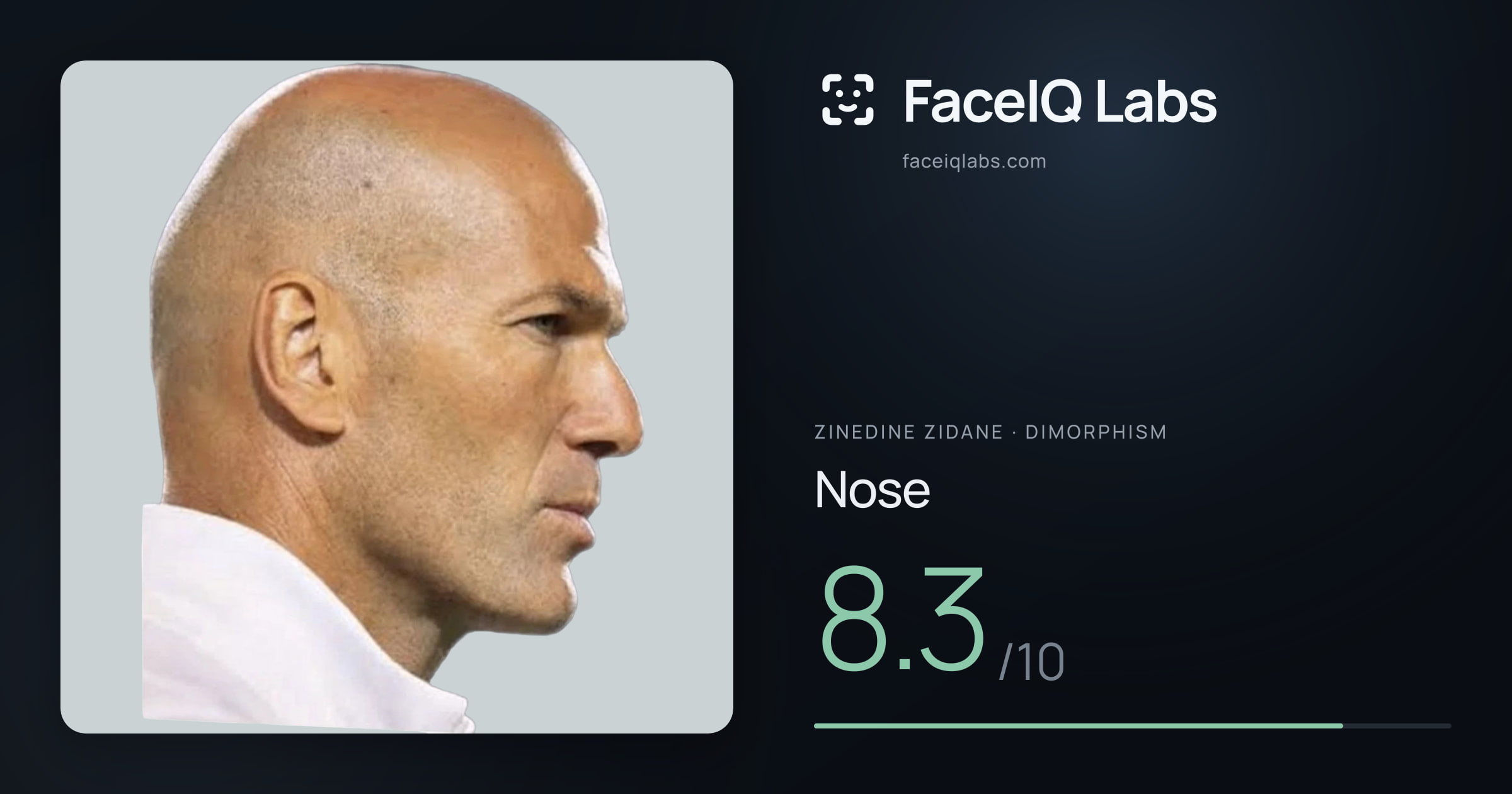 Zinedine Zidane Nose: 8.3/10, drawn on the photo
