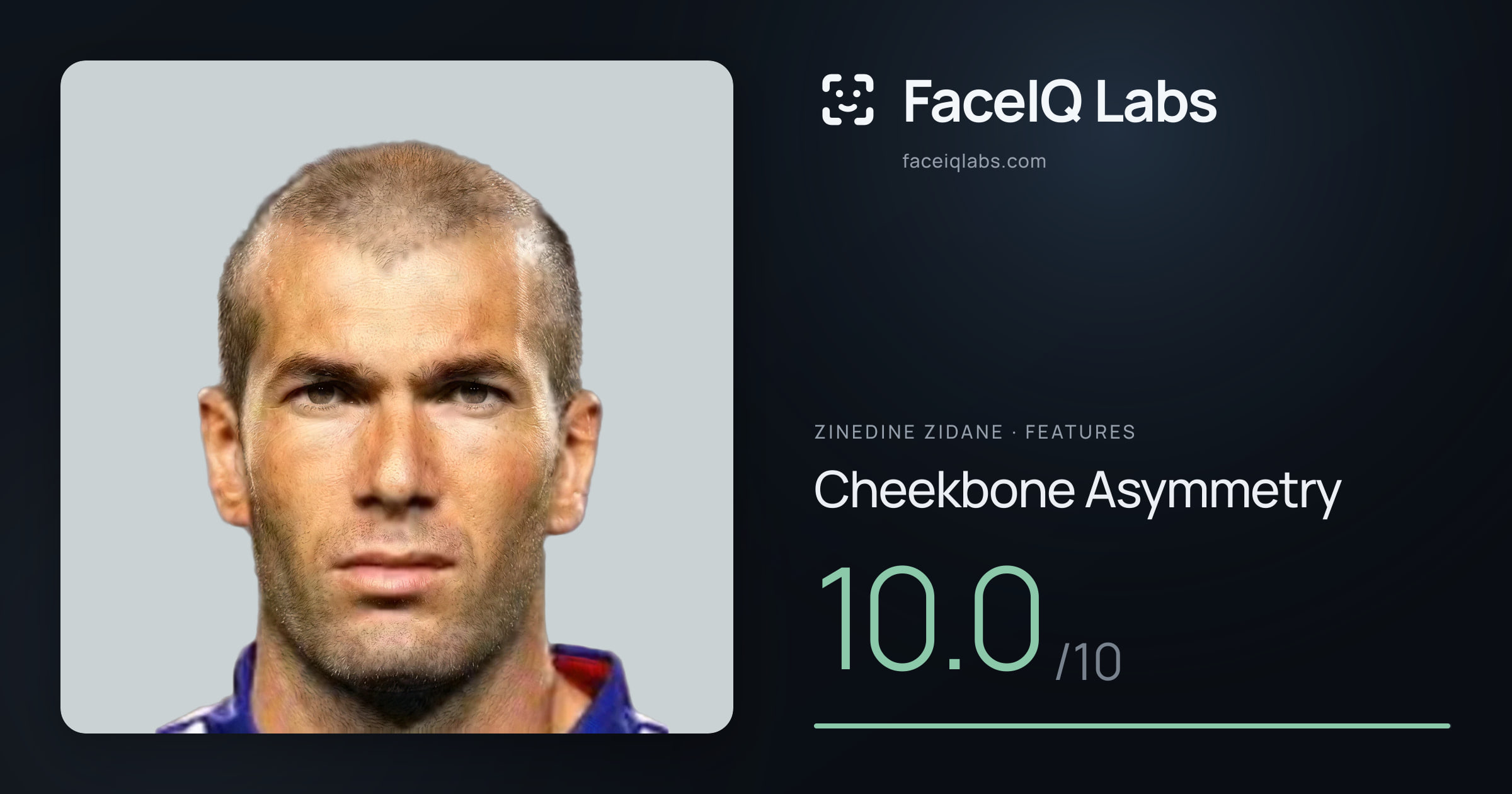 Zinedine Zidane Cheekbone Asymmetry: 10.0/10, drawn on the photo
