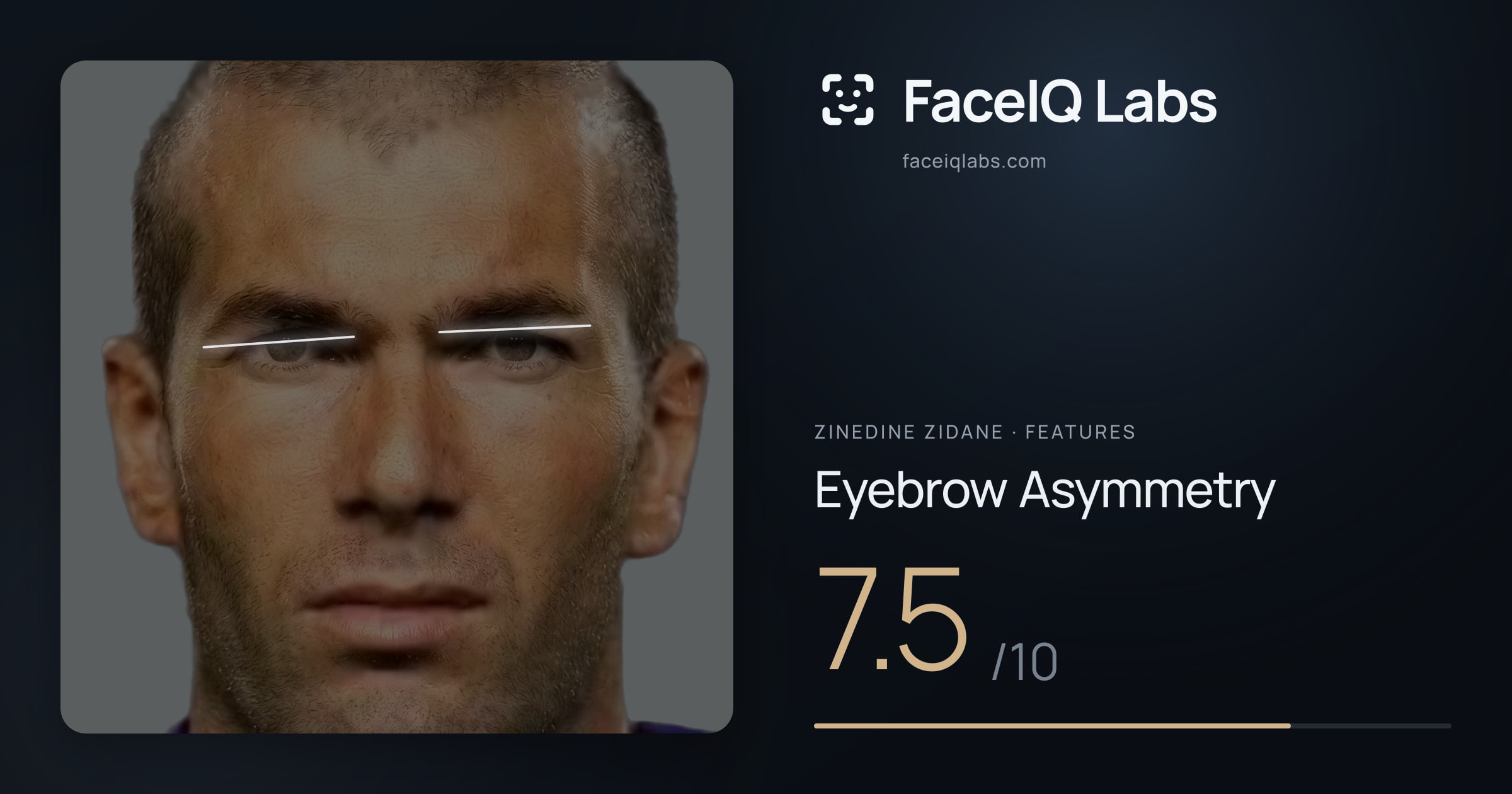 Zinedine Zidane Eyebrow Asymmetry: 7.5/10, drawn on the photo