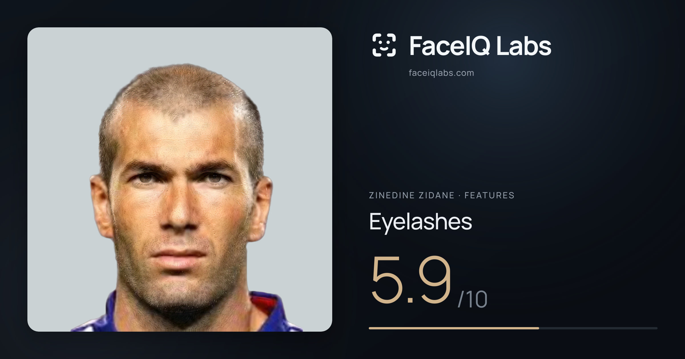 Zinedine Zidane Eyelashes: 5.9/10, drawn on the photo
