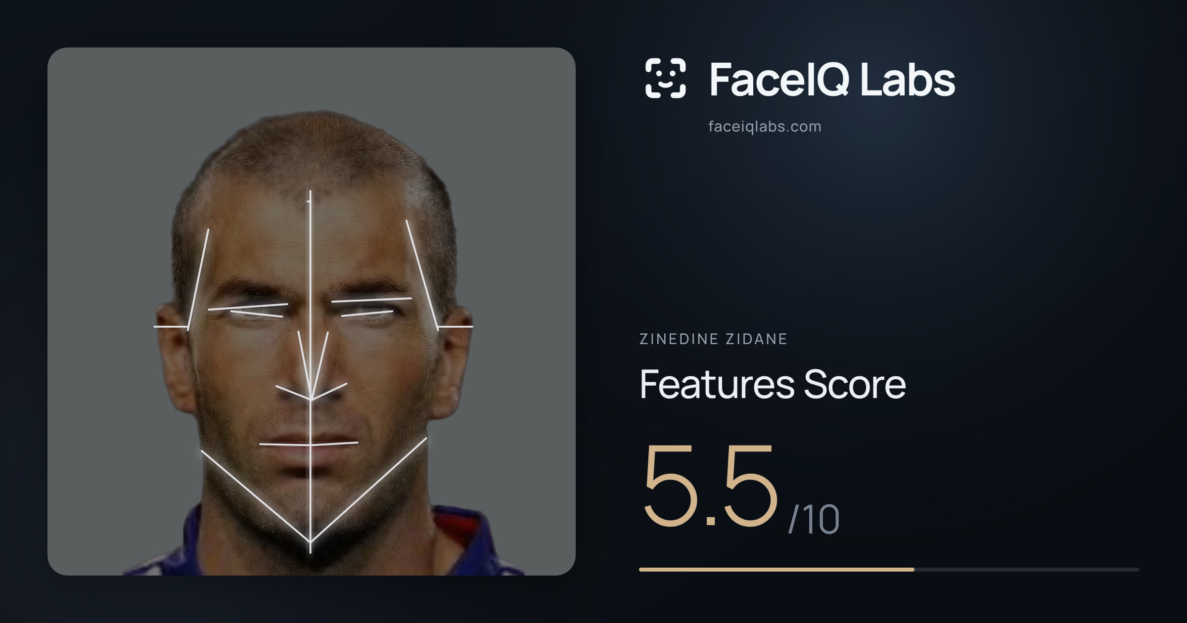 Zinedine Zidane Features: 2.0/10, with each assessment drawn on the photo