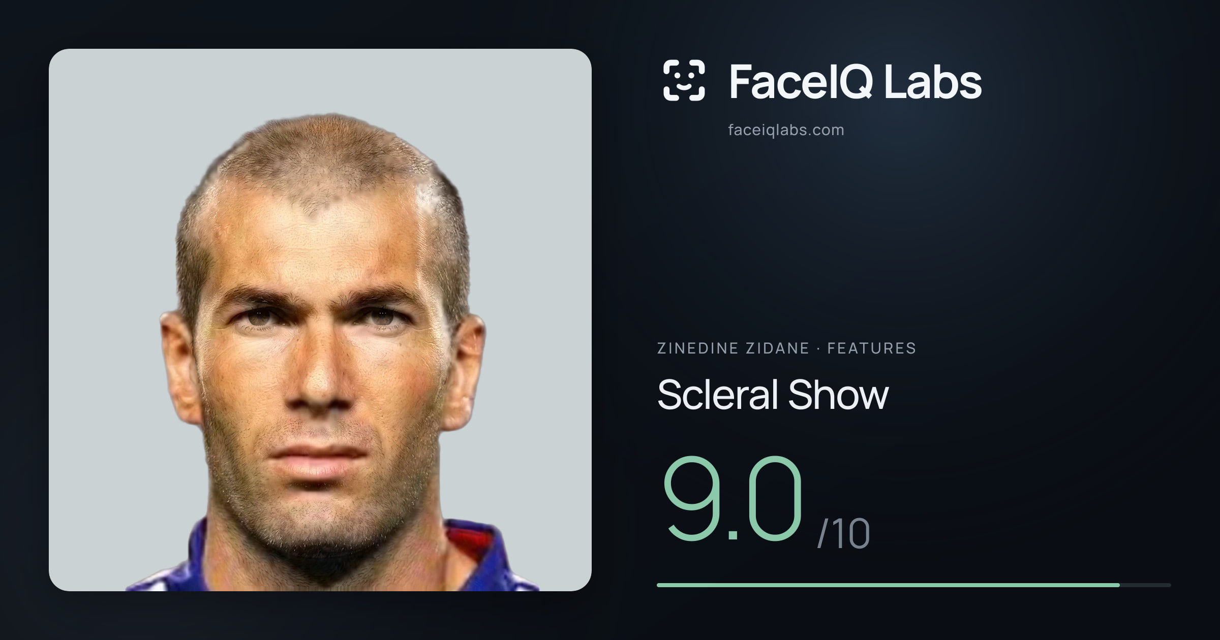 Zinedine Zidane Scleral Show: 9.0/10, drawn on the photo