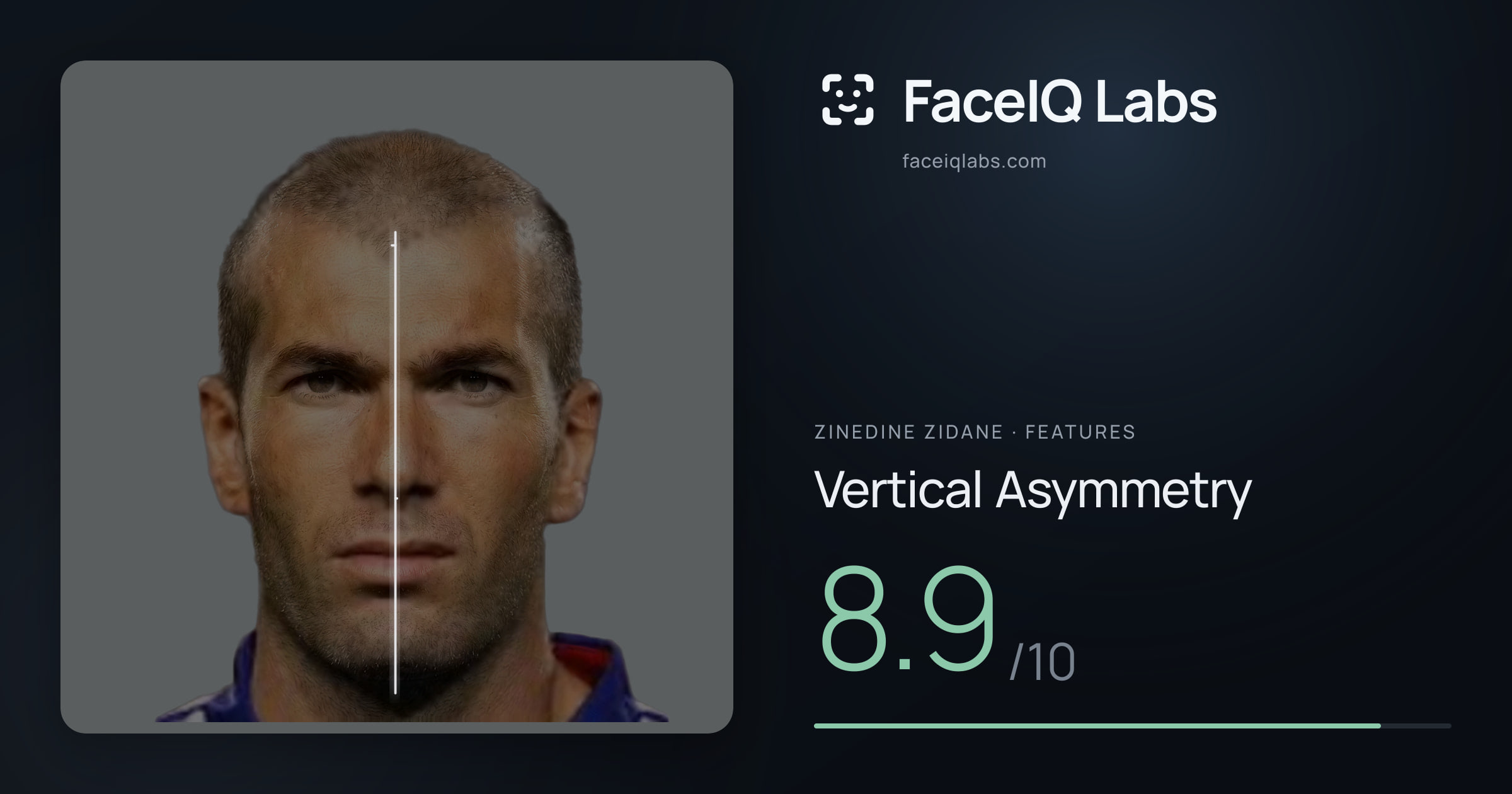 Zinedine Zidane Vertical Asymmetry: 8.9/10, drawn on the photo