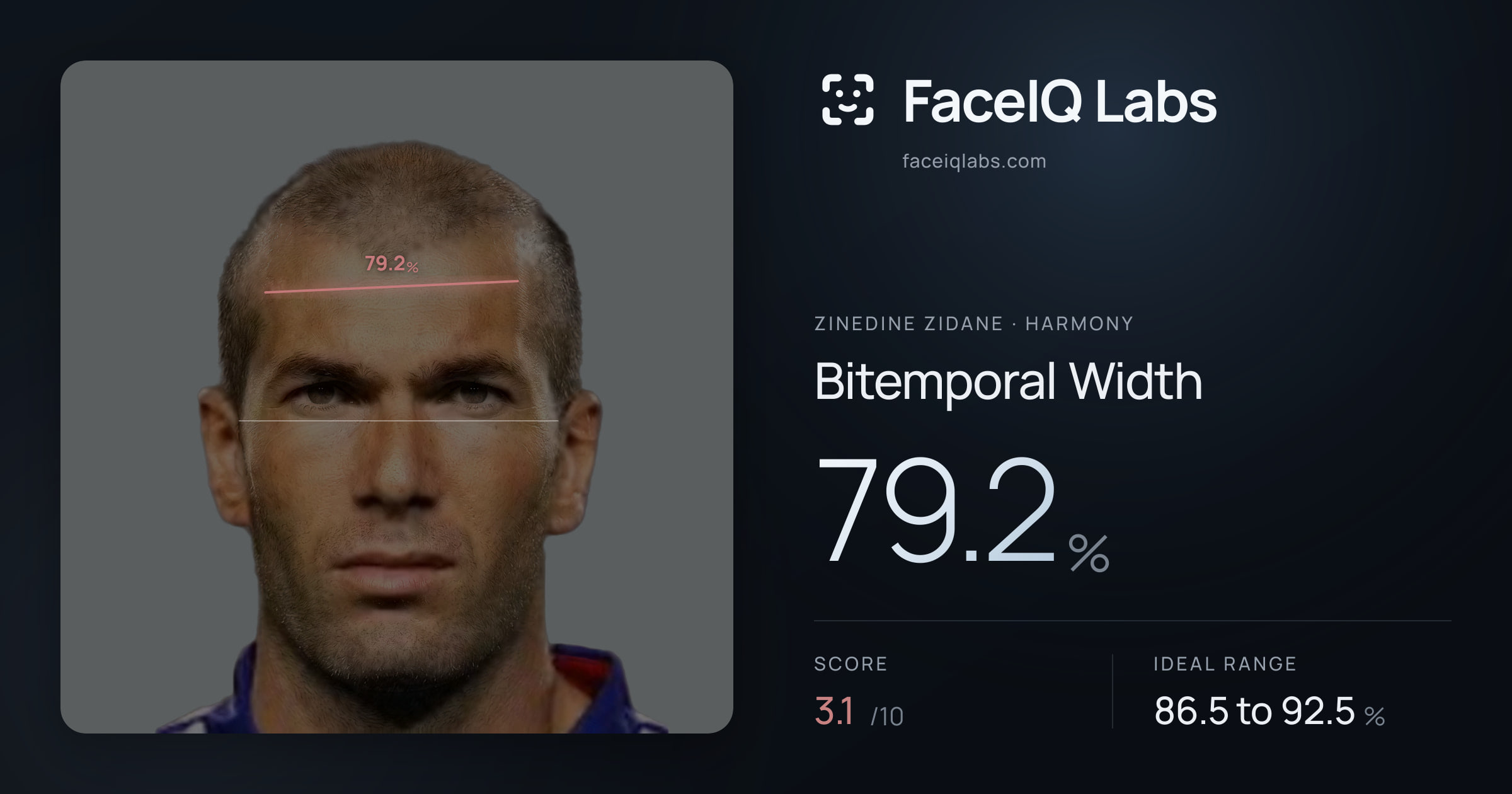 Zinedine Zidane Bitemporal Width: 79.2%, drawn on the photo