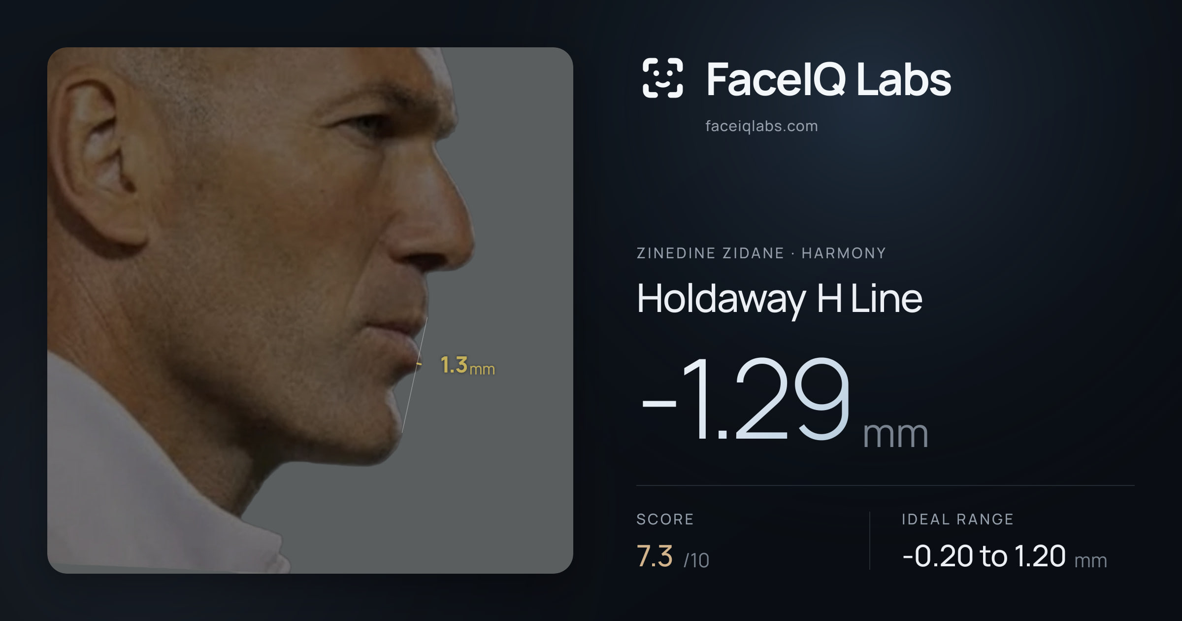 Zinedine Zidane Holdaway H Line: -1.29mm, drawn on the photo