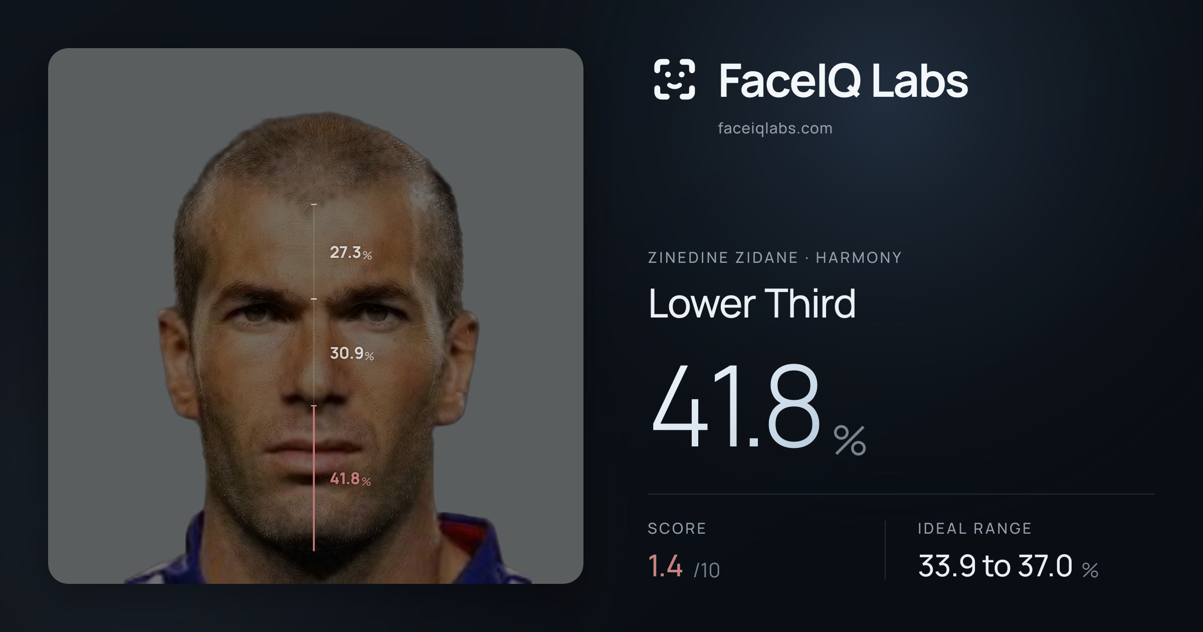 Zinedine Zidane Lower Third: 41.8%, drawn on the photo