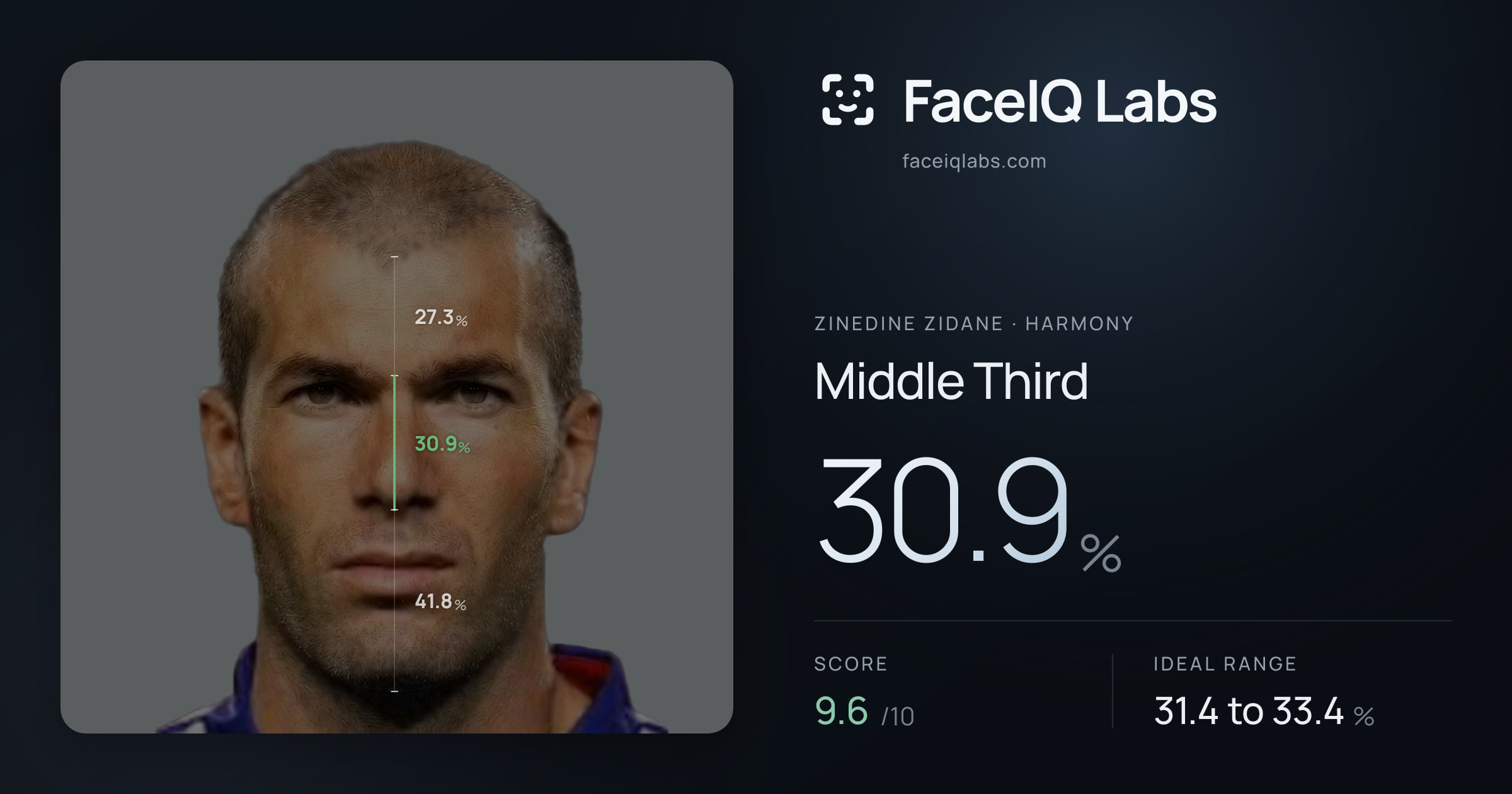 Zinedine Zidane Middle Third: 30.9%, drawn on the photo