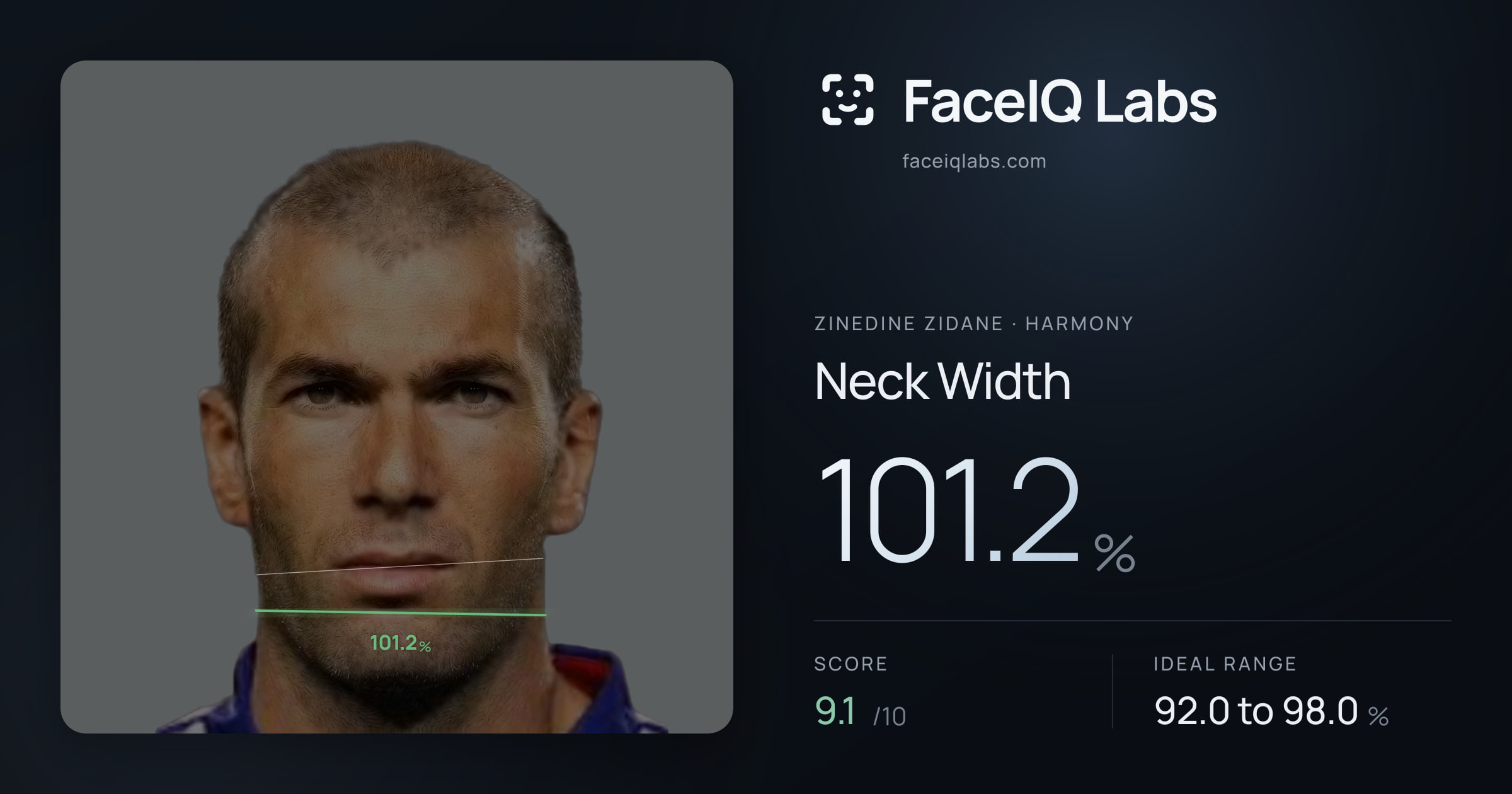 Zinedine Zidane Neck Width: 101.2%, drawn on the photo