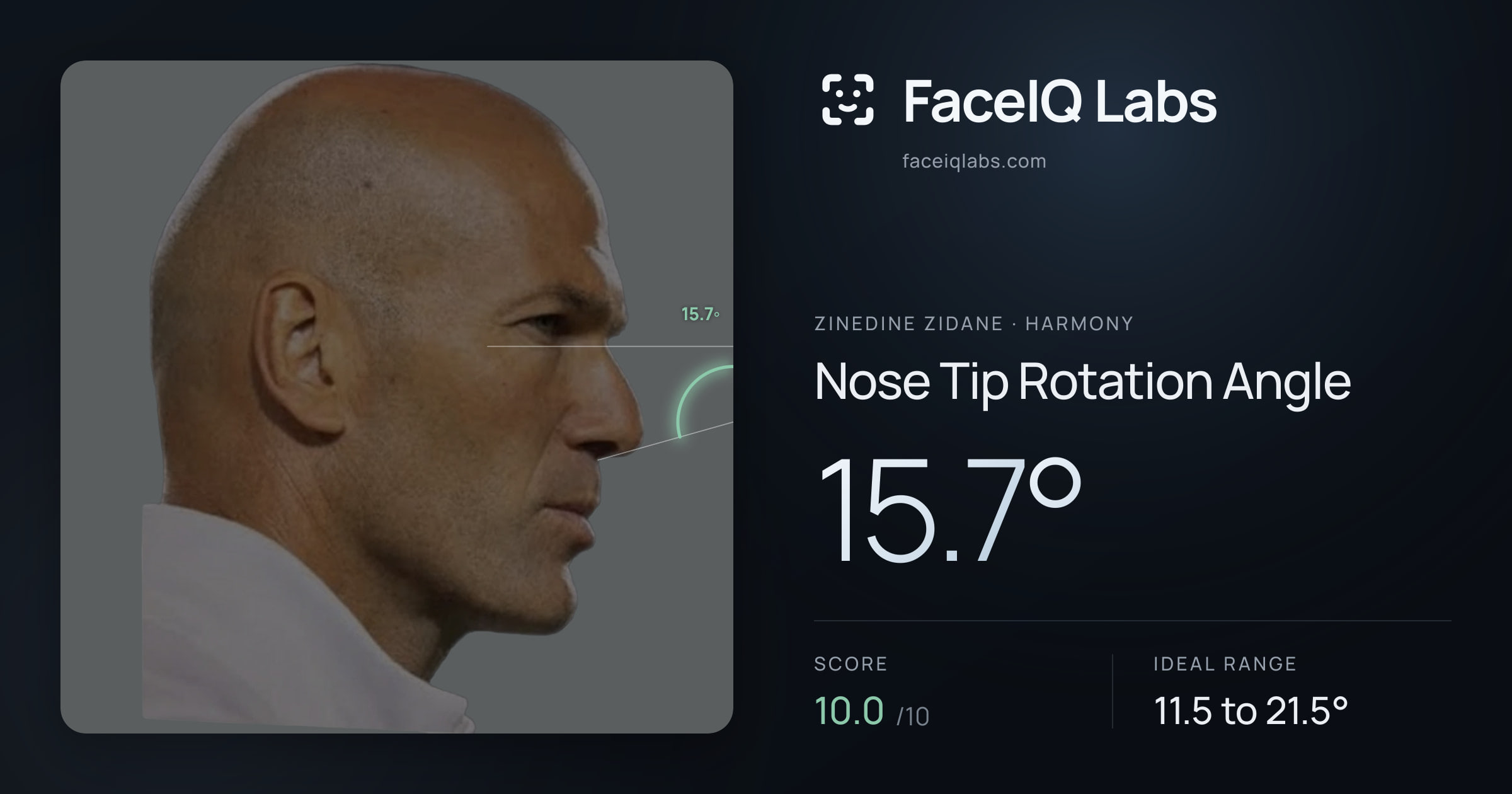 Zinedine Zidane Nose Tip Rotation Angle: 15.7°, drawn on the photo
