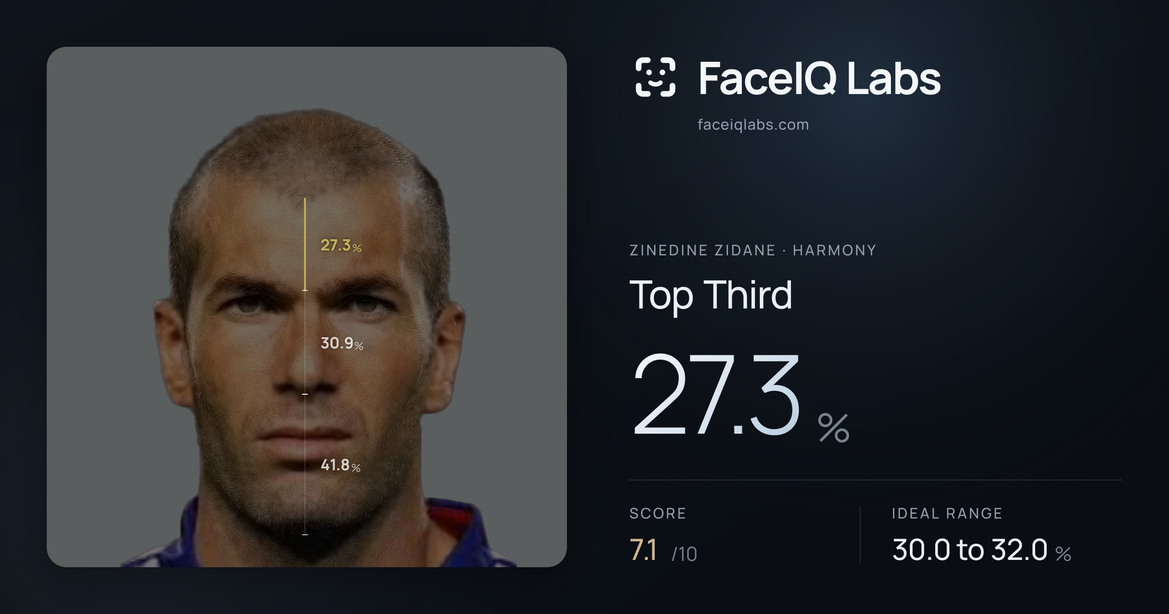 Zinedine Zidane Top Third: 27.3%, drawn on the photo