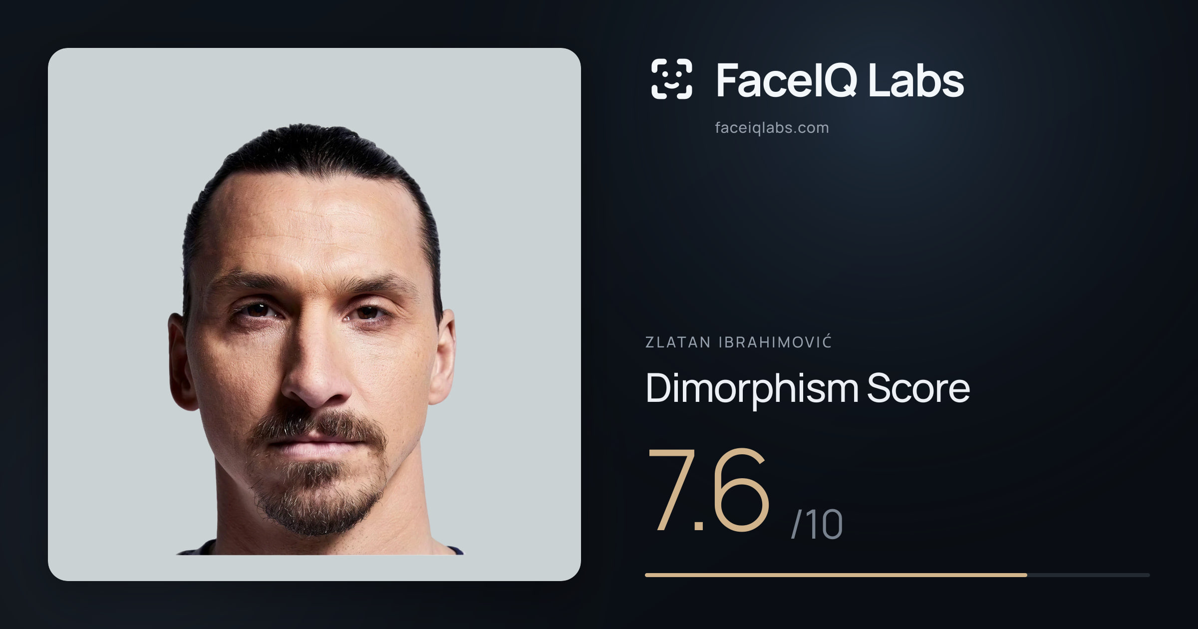 Zlatan Ibrahimović Dimorphism: 7.6/10, with each assessment drawn on the photo