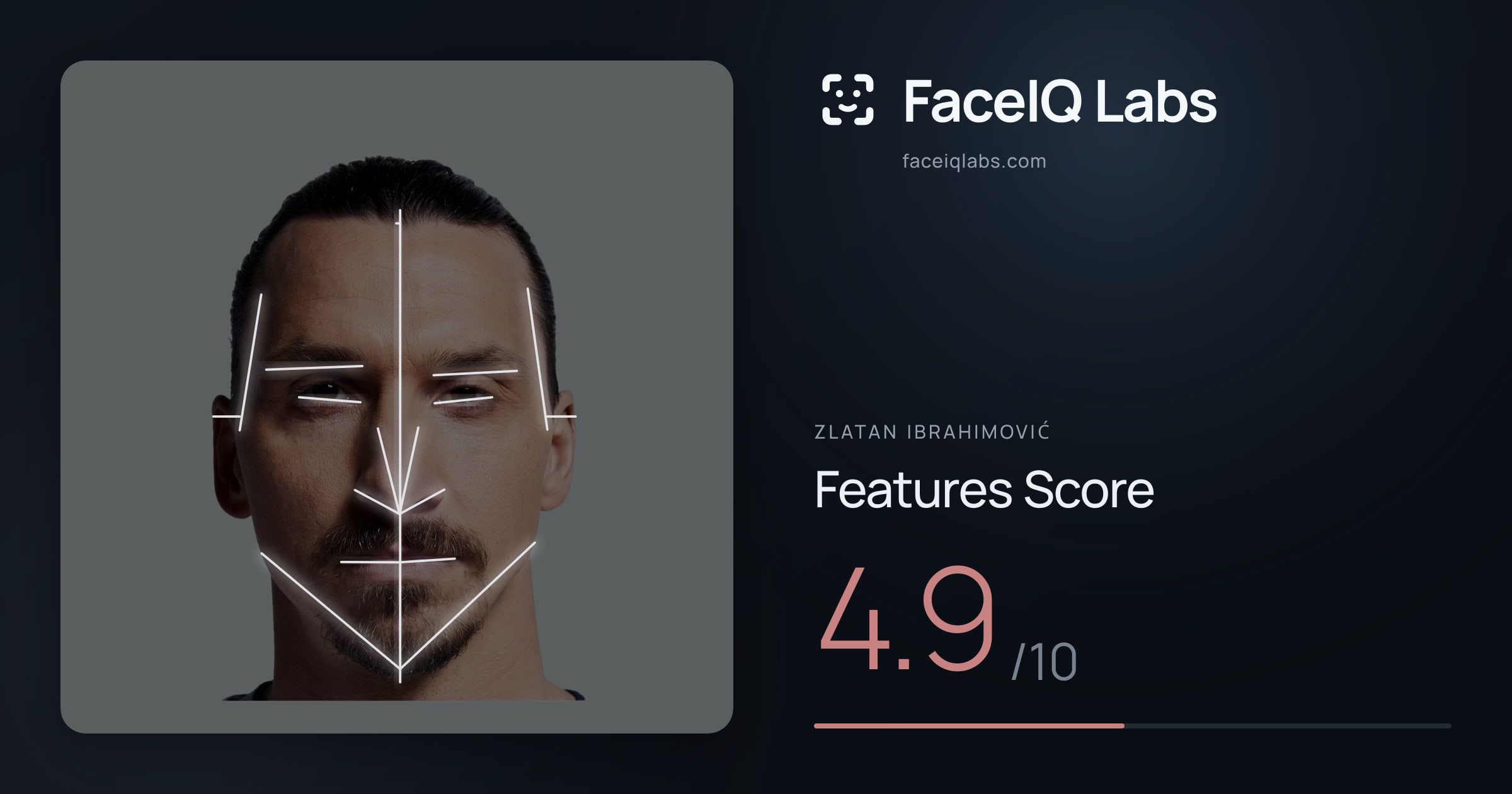 Zlatan Ibrahimović Features: 4.9/10, with each assessment drawn on the photo